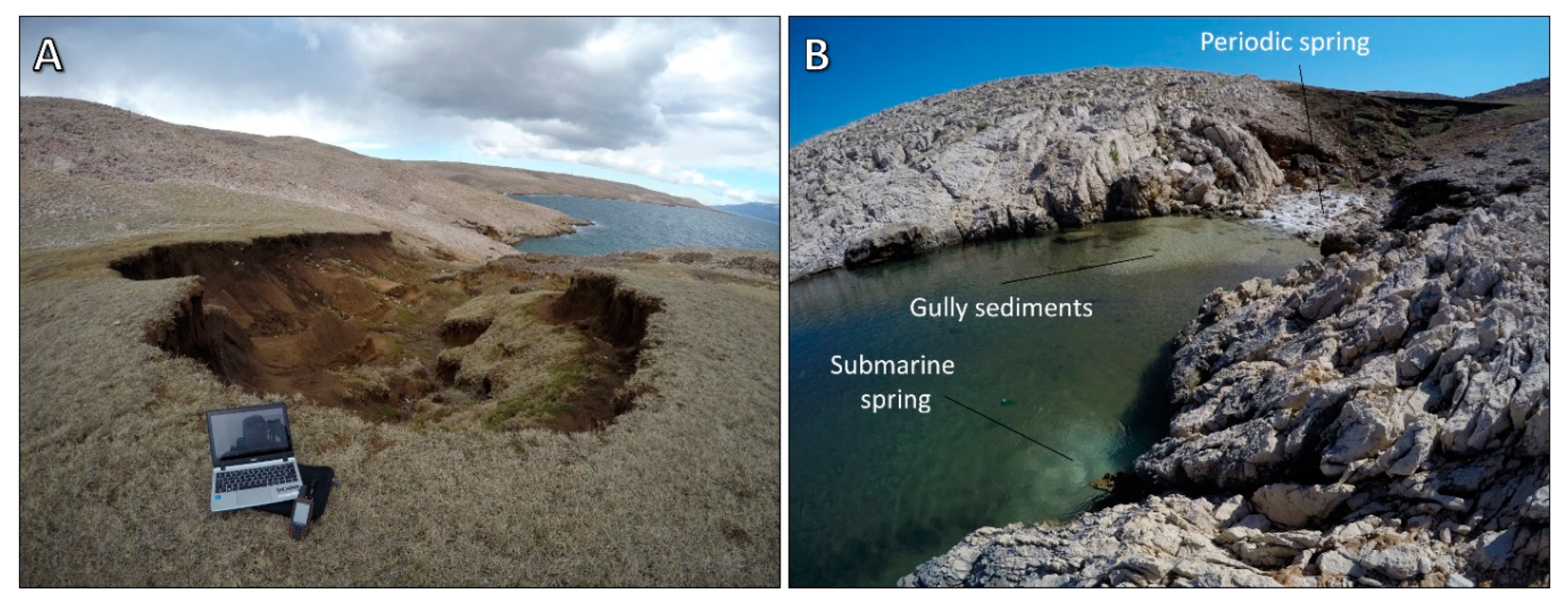 Remotesensing 13 00321 g012