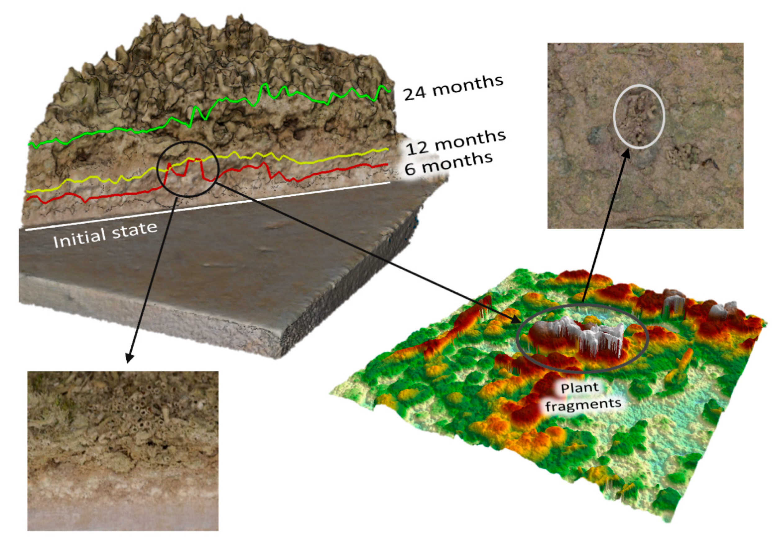 Remotesensing 13 00321 g015