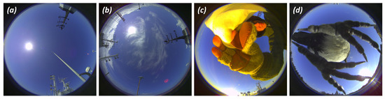 Remote Sensing January 2 2021 Browse Articles