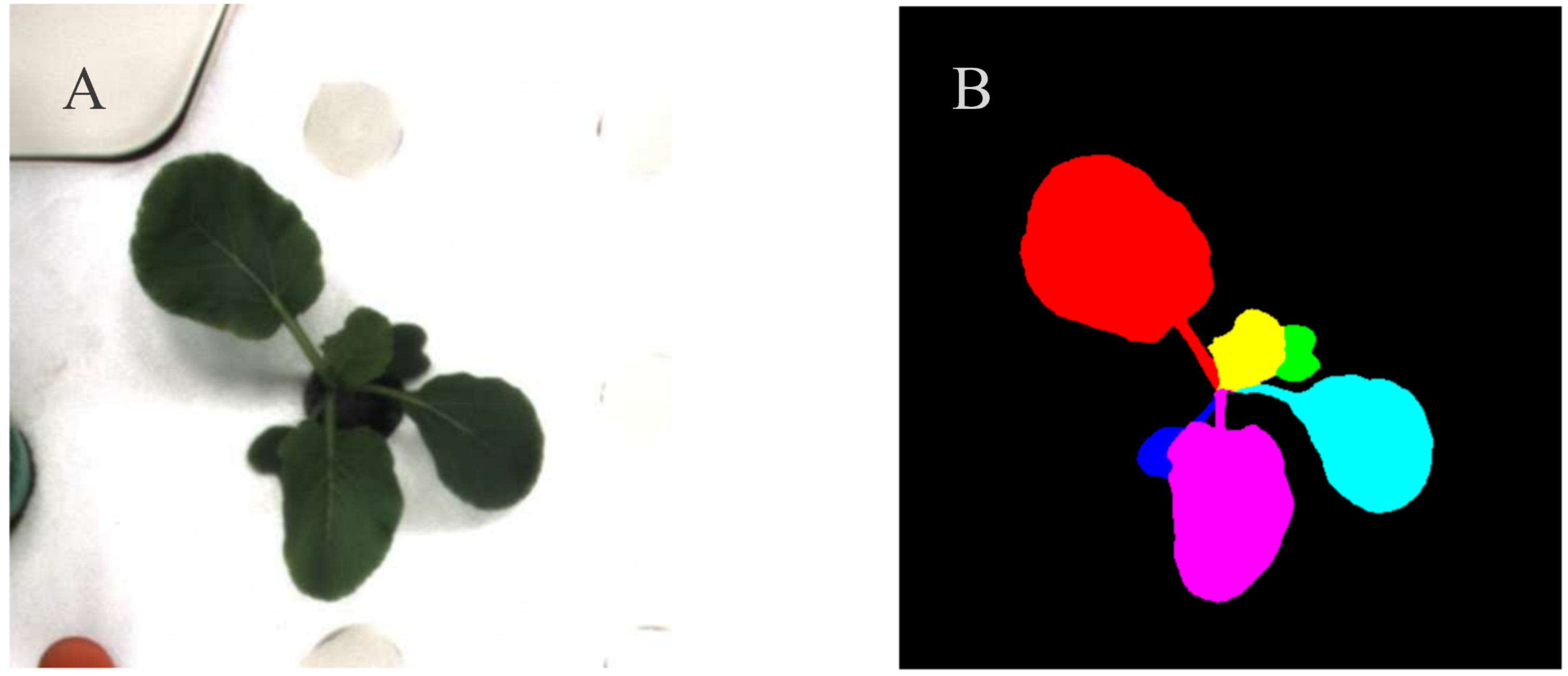 Remotesensing 13 00331 g001 Remotesensing 13 00331 g001