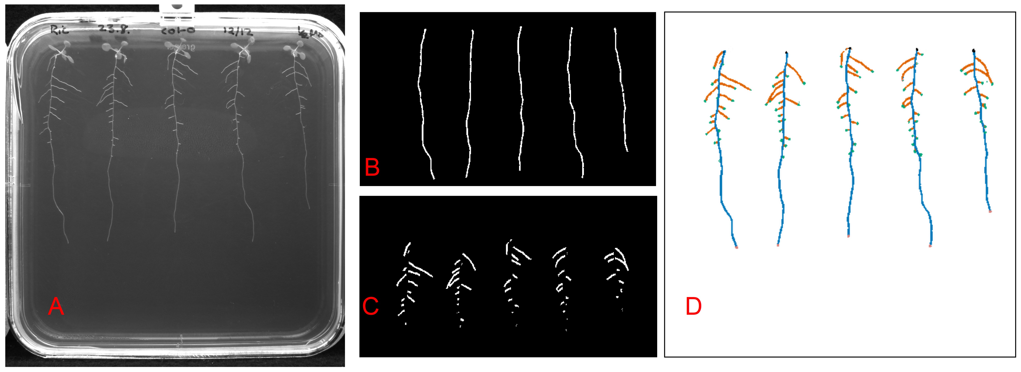 Remotesensing 13 00331 g002 Remotesensing 13 00331 g002