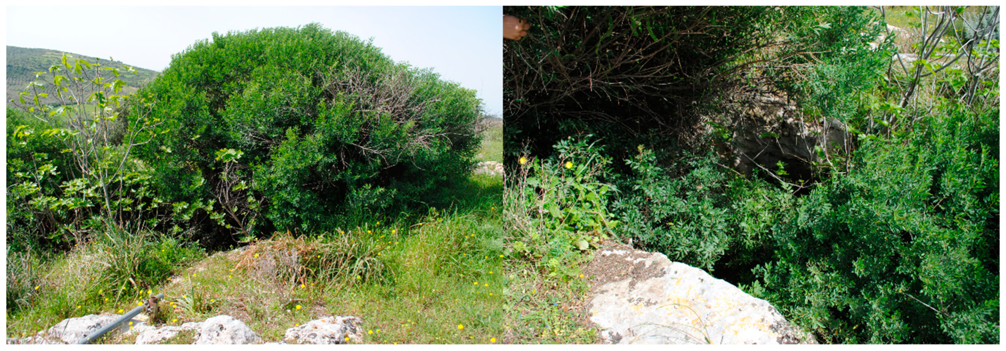 Remotesensing 13 00332 g008