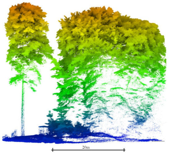 Estimating Forest Structure from UAV-Mounted LiDAR Point Cloud Using ...