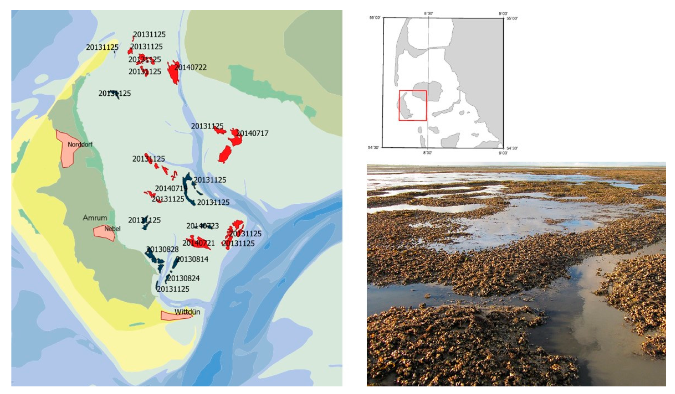 Remotesensing 13 00360 g003 Remotesensing 13 00360 g003