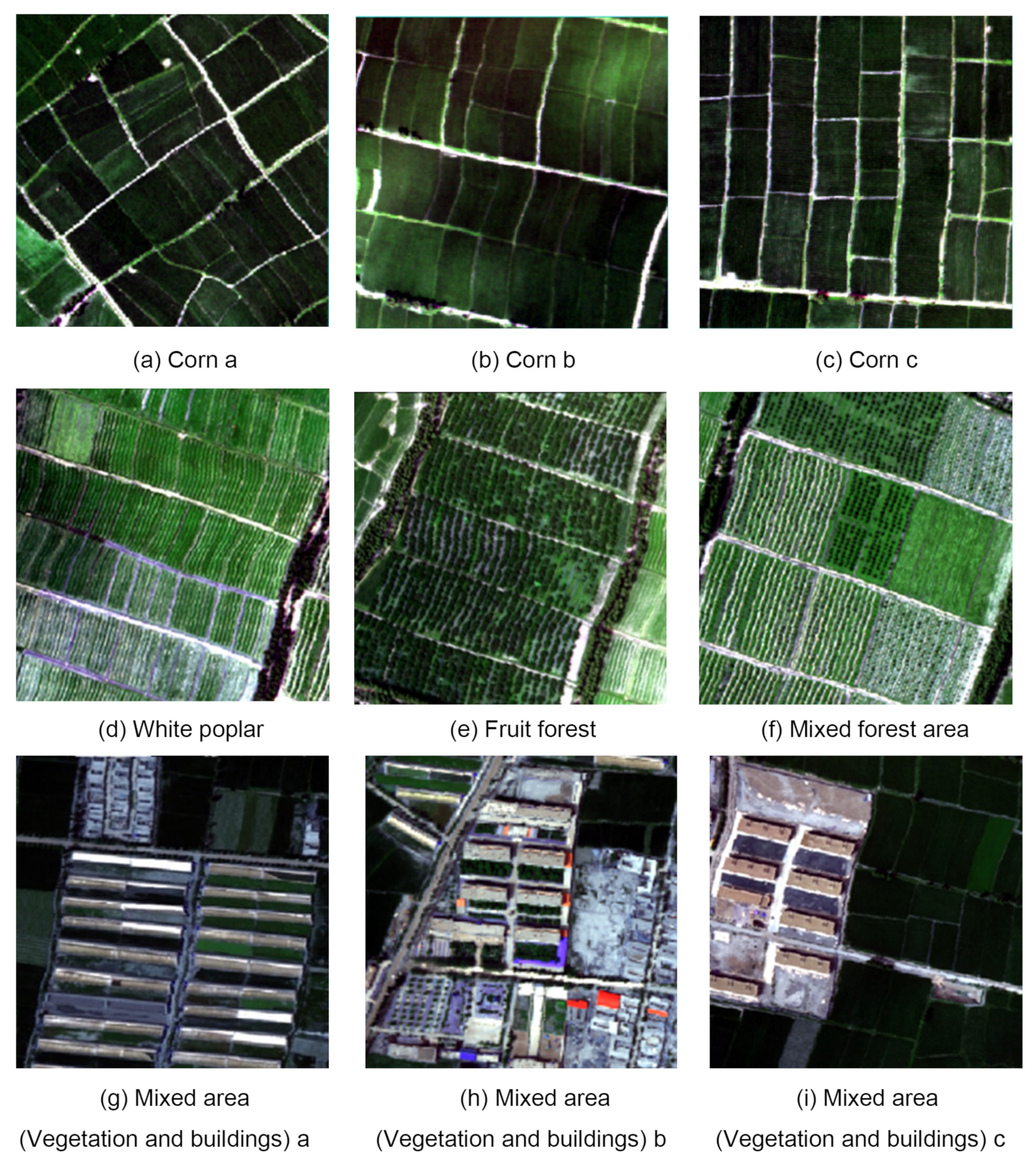 Remotesensing 13 00362 g005 Remotesensing 13 00362 g005