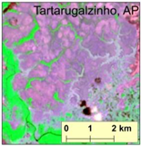 Remotesensing 13 00367 i005