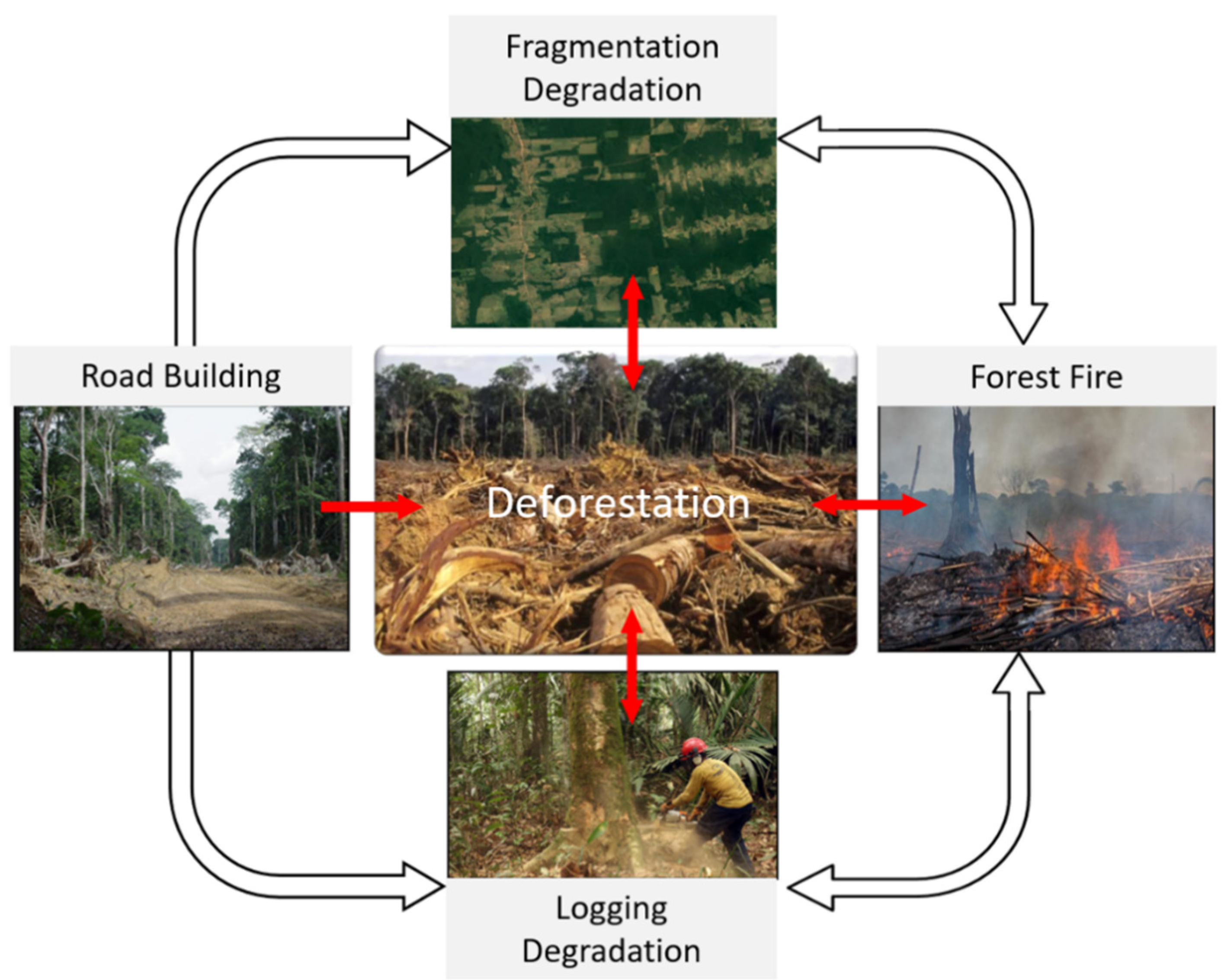 Remotesensing 13 00376 g002 Remotesensing 13 00376 g002