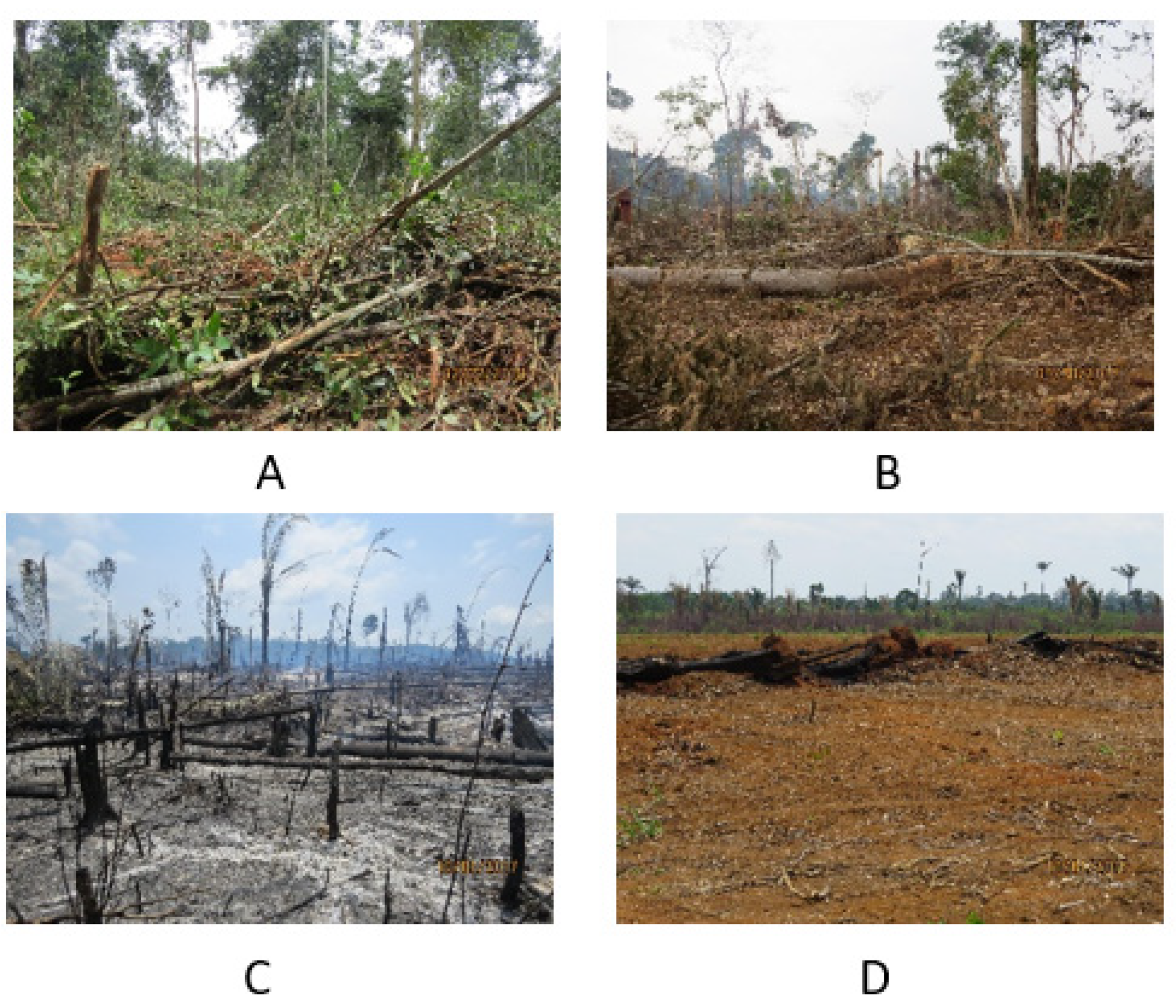 Remotesensing 13 00376 g003 Remotesensing 13 00376 g003