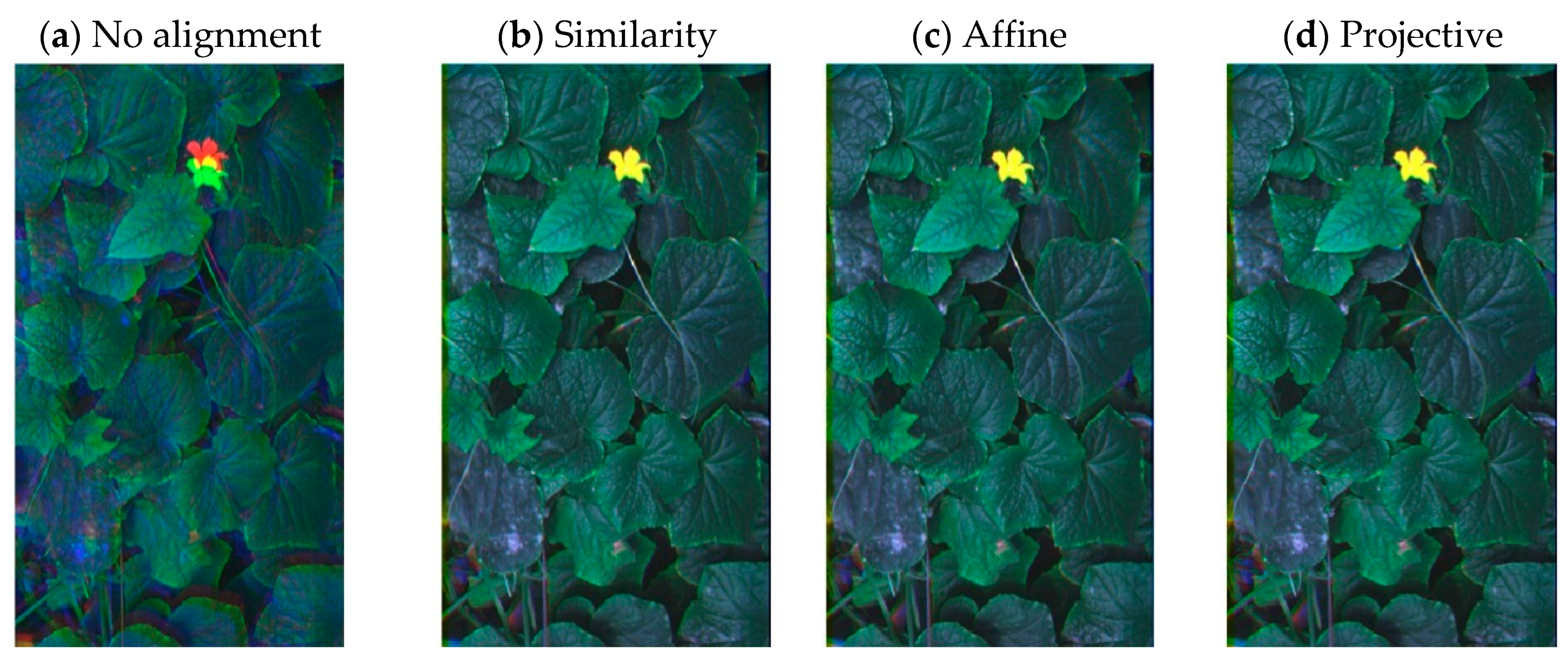 Remotesensing 13 00396 g011