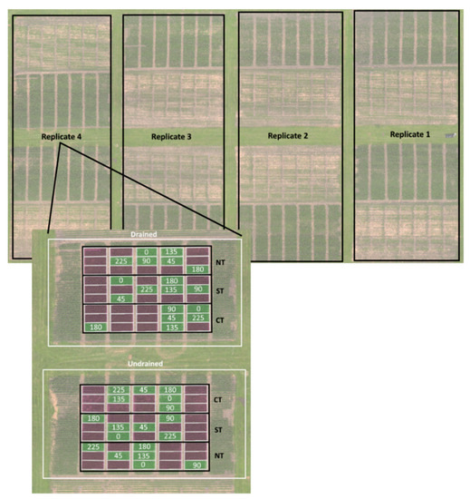 Corn Nitrogen Status Diagnosis with an Innovative Multi-Parameter