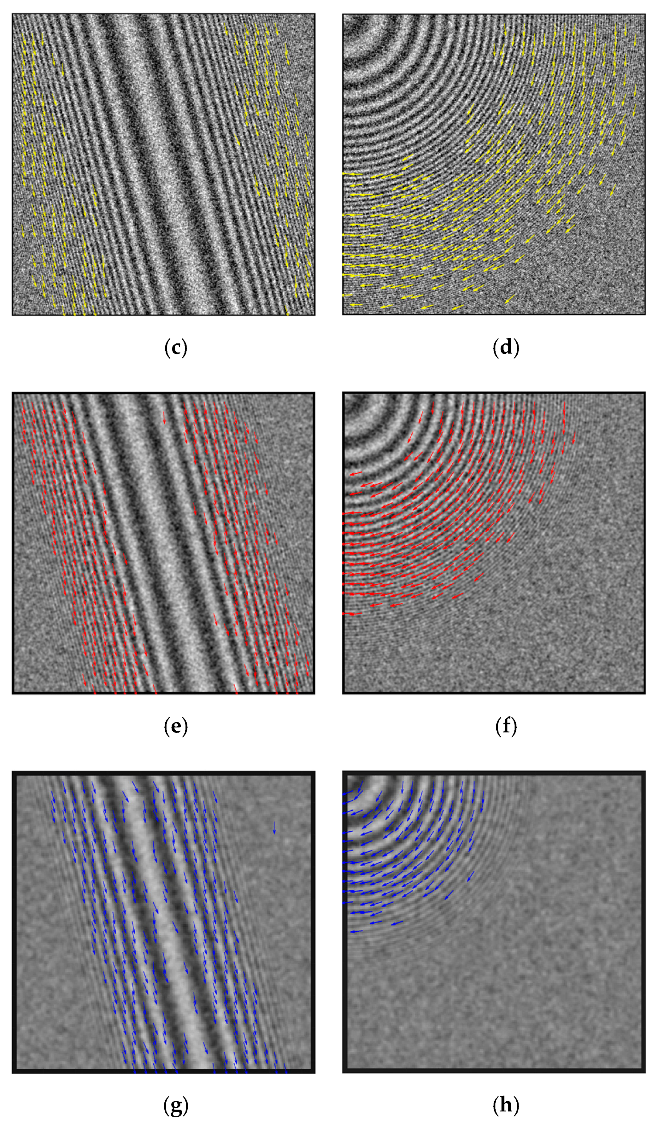 Remotesensing 13 00410 g005b Remotesensing 13 00410 g005b