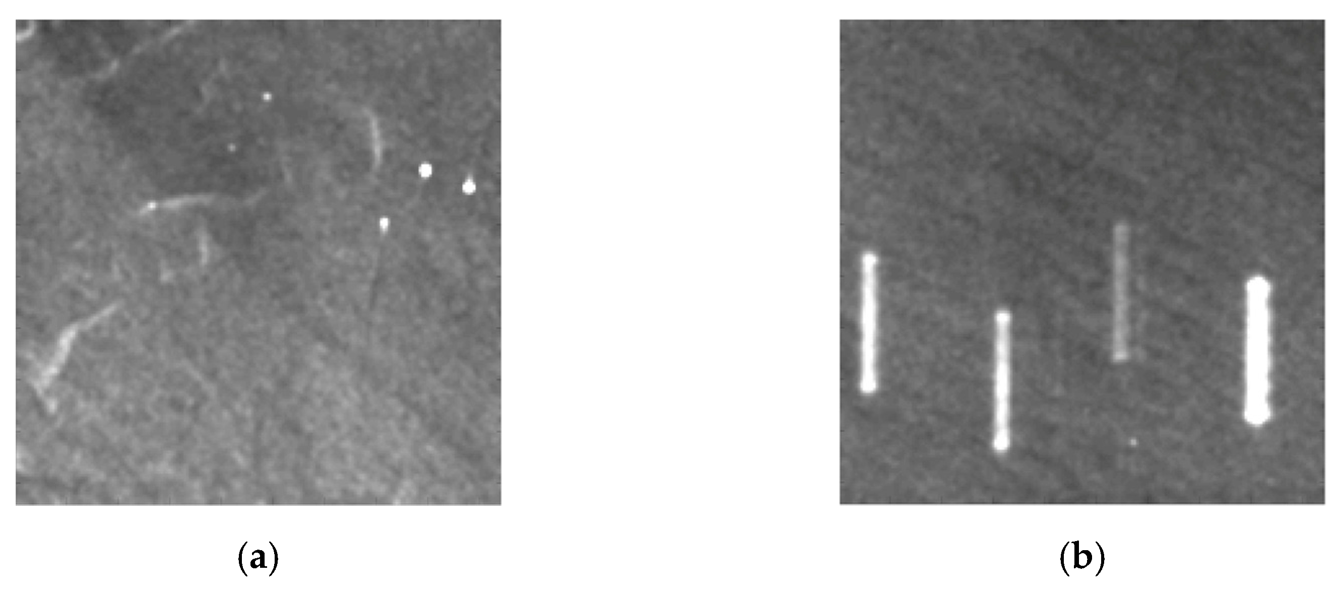 Remotesensing 13 00410 g009a Remotesensing 13 00410 g009a