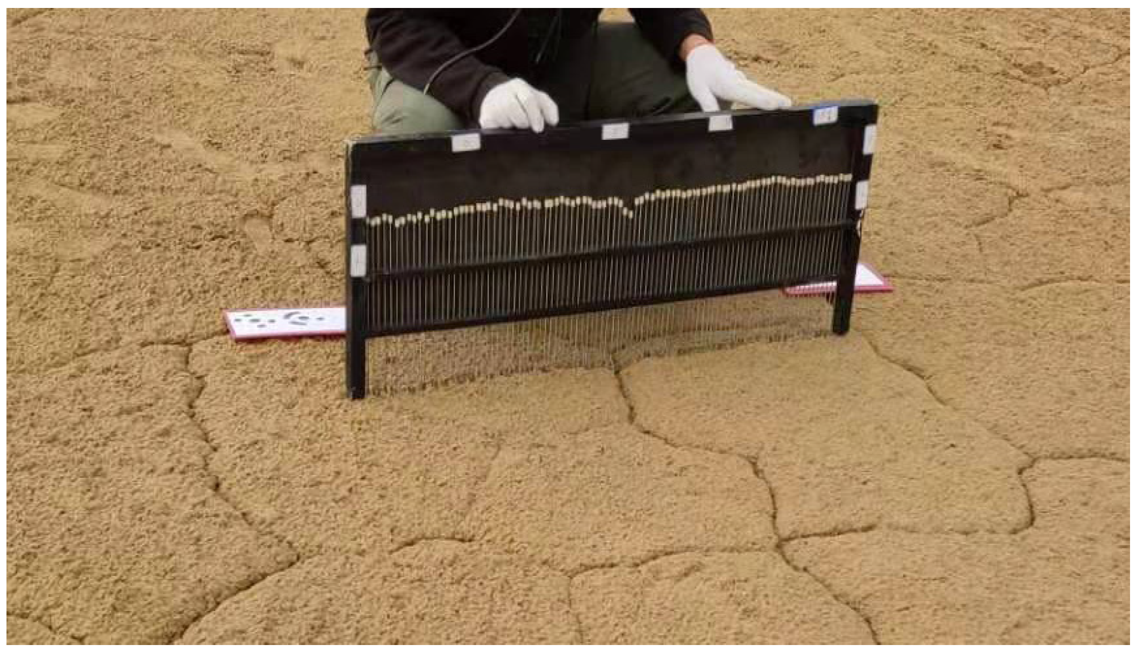 Remotesensing 13 00417 g002 Remotesensing 13 00417 g002