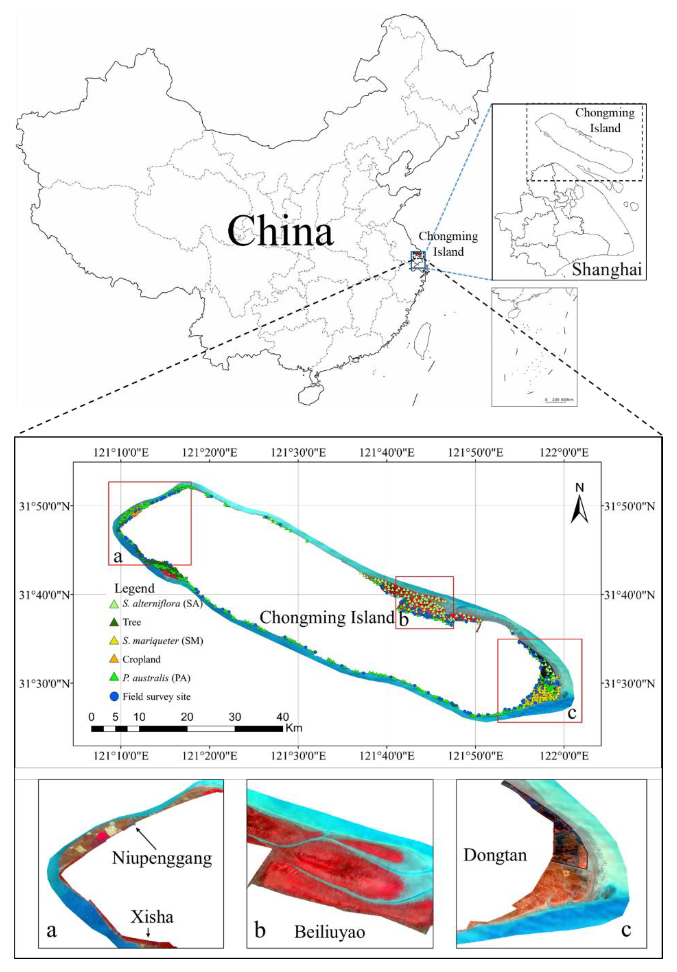 Remotesensing 13 00443 g001