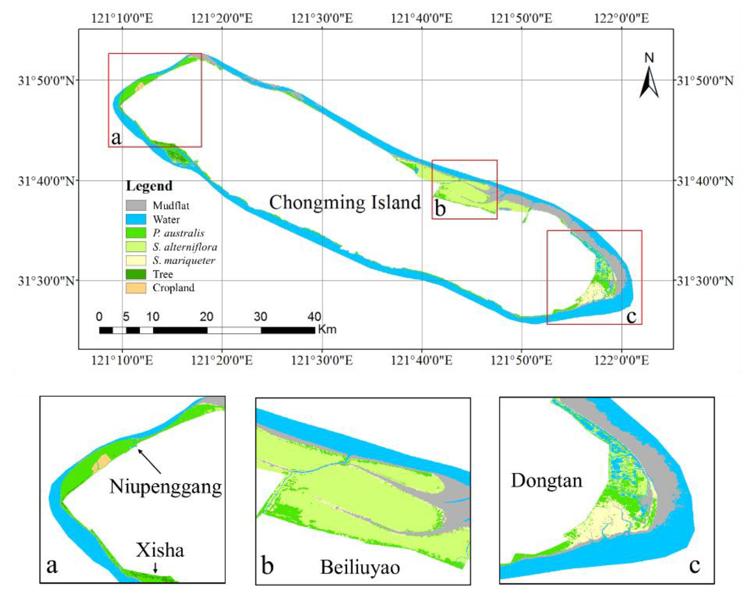 Remotesensing 13 00443 g007