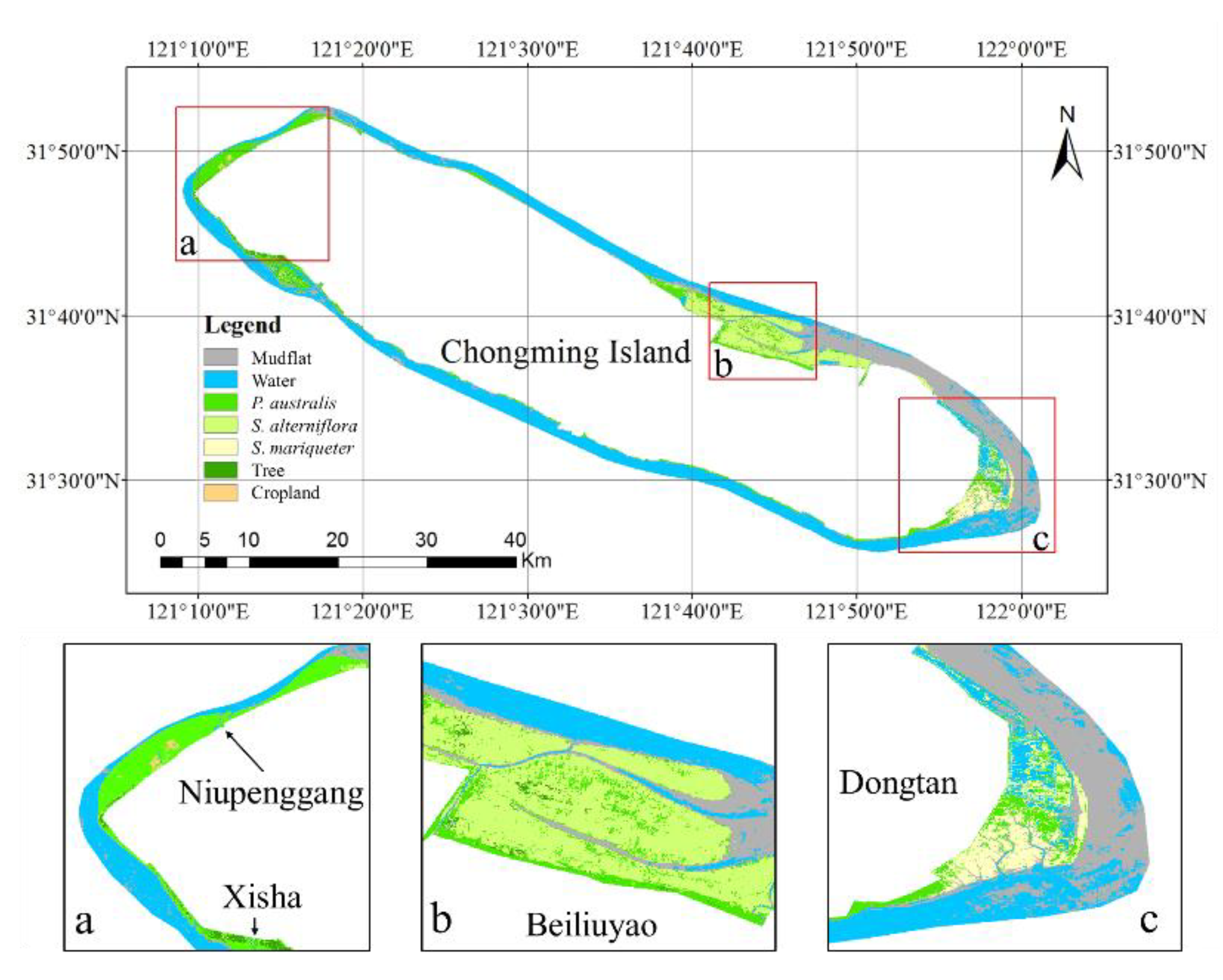 Remotesensing 13 00443 g011