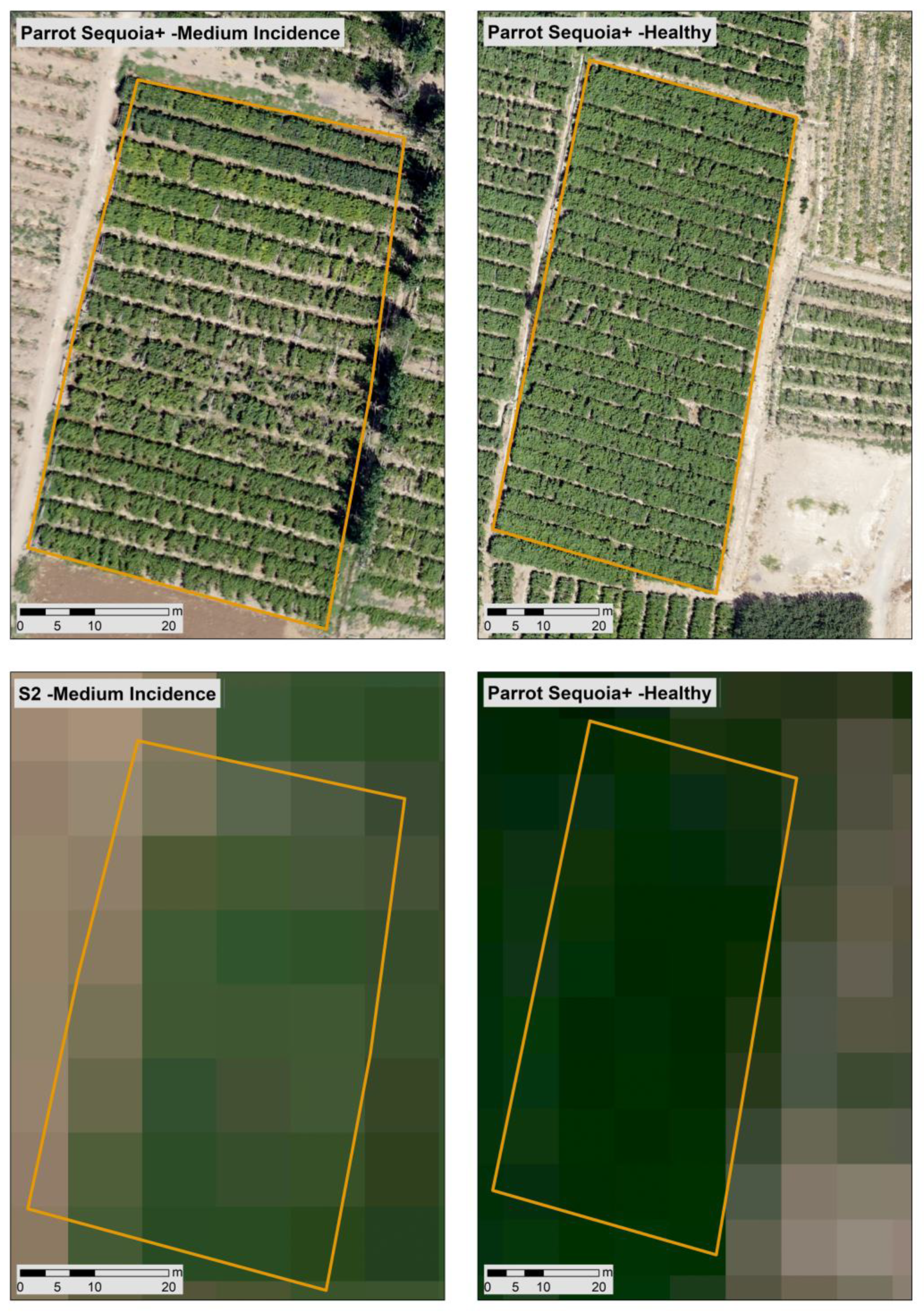 Remotesensing 13 00457 g005