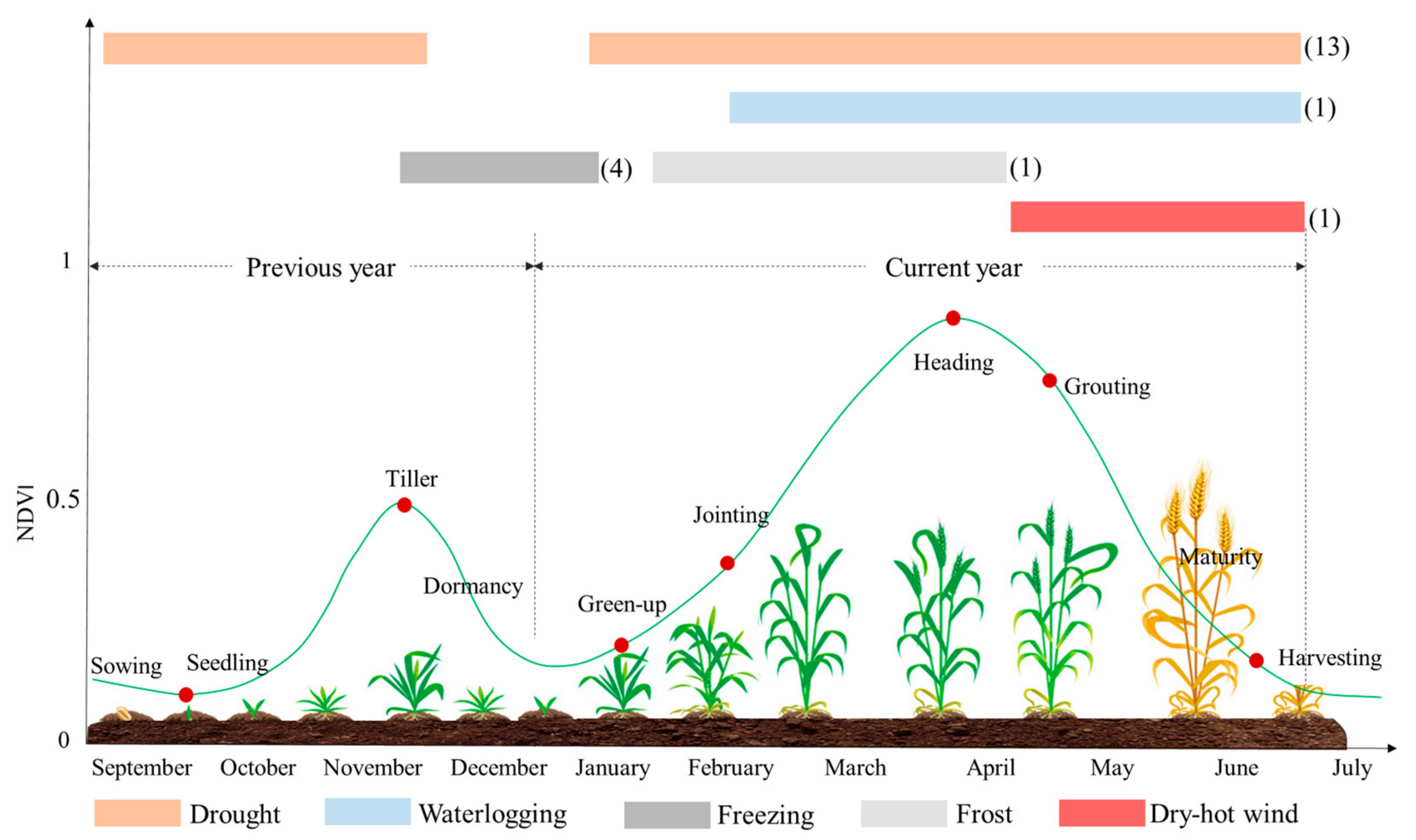 Remotesensing 13 00482 g001 Remotesensing 13 00482 g001