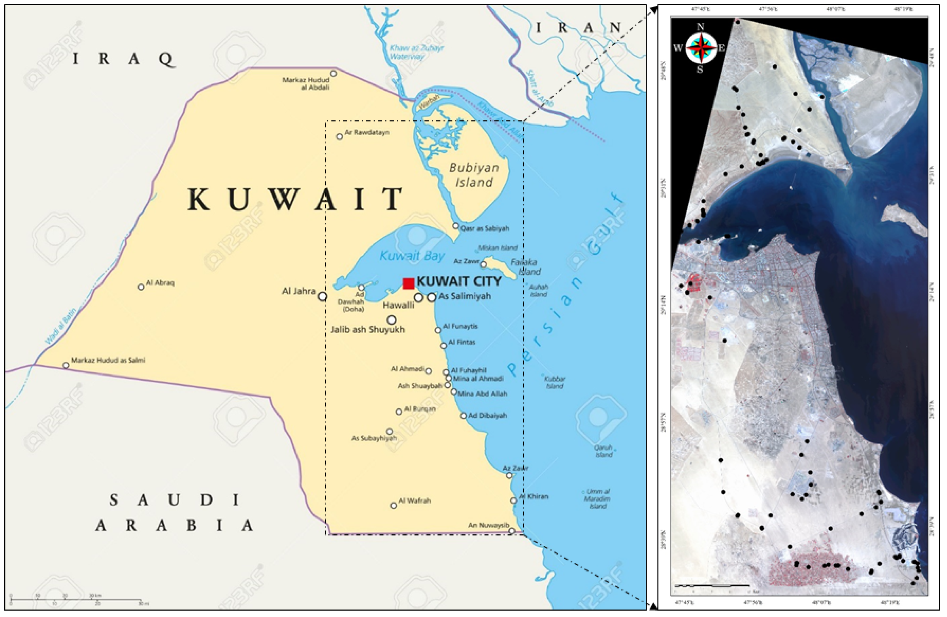 Remotesensing 13 00494 g002 Remotesensing 13 00494 g002