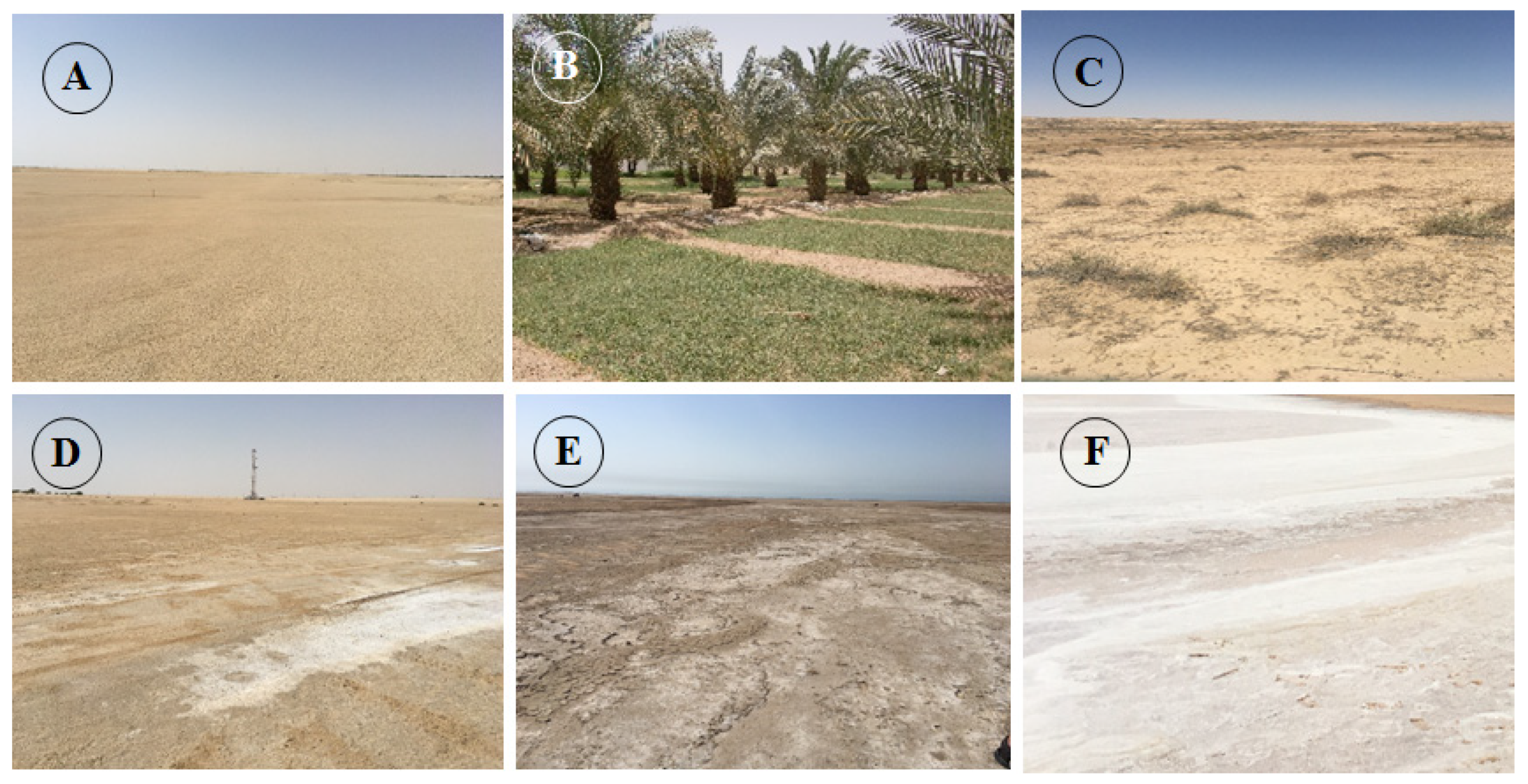 Remotesensing 13 00494 g003 Remotesensing 13 00494 g003