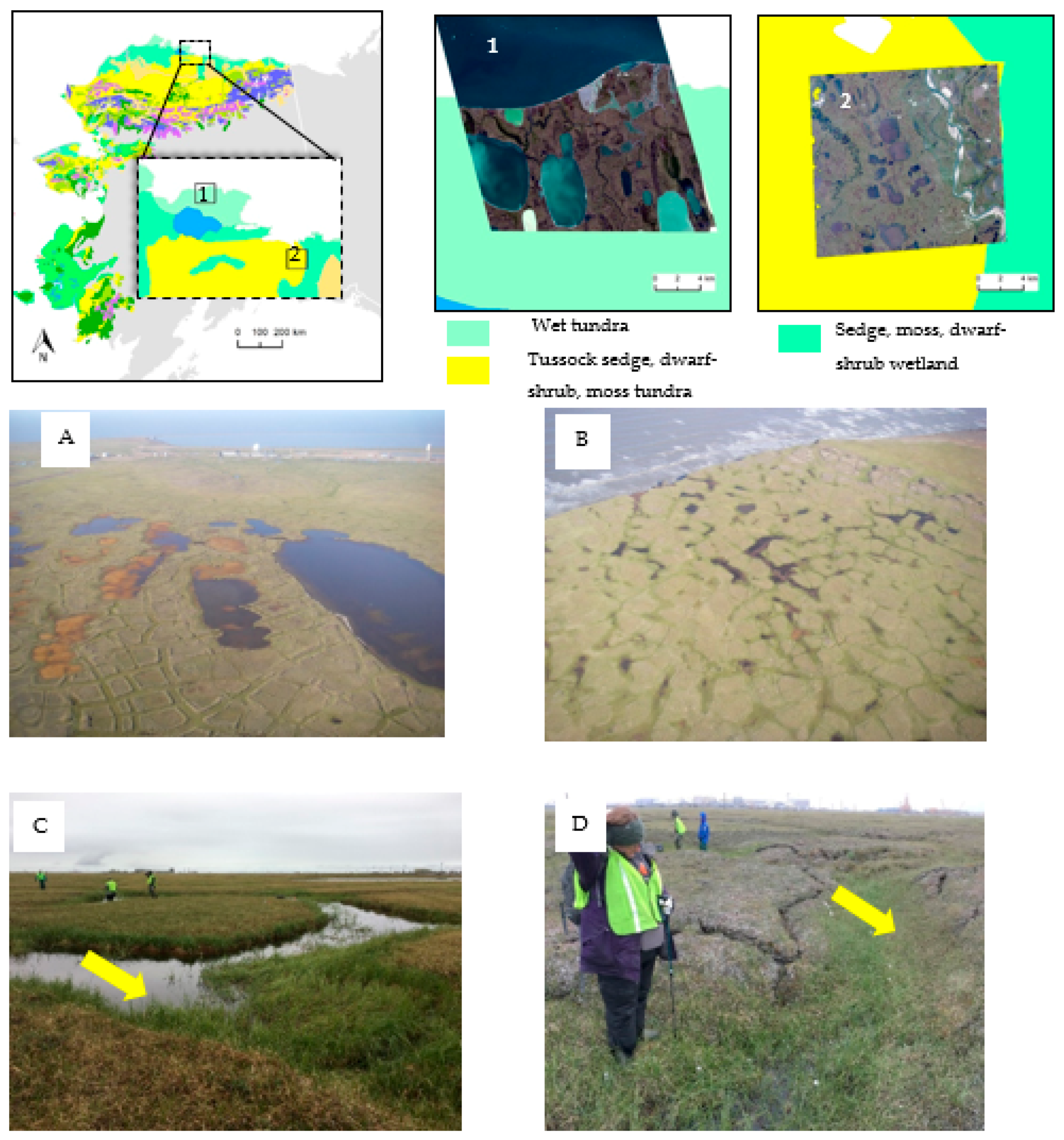Ice Wedging Definition