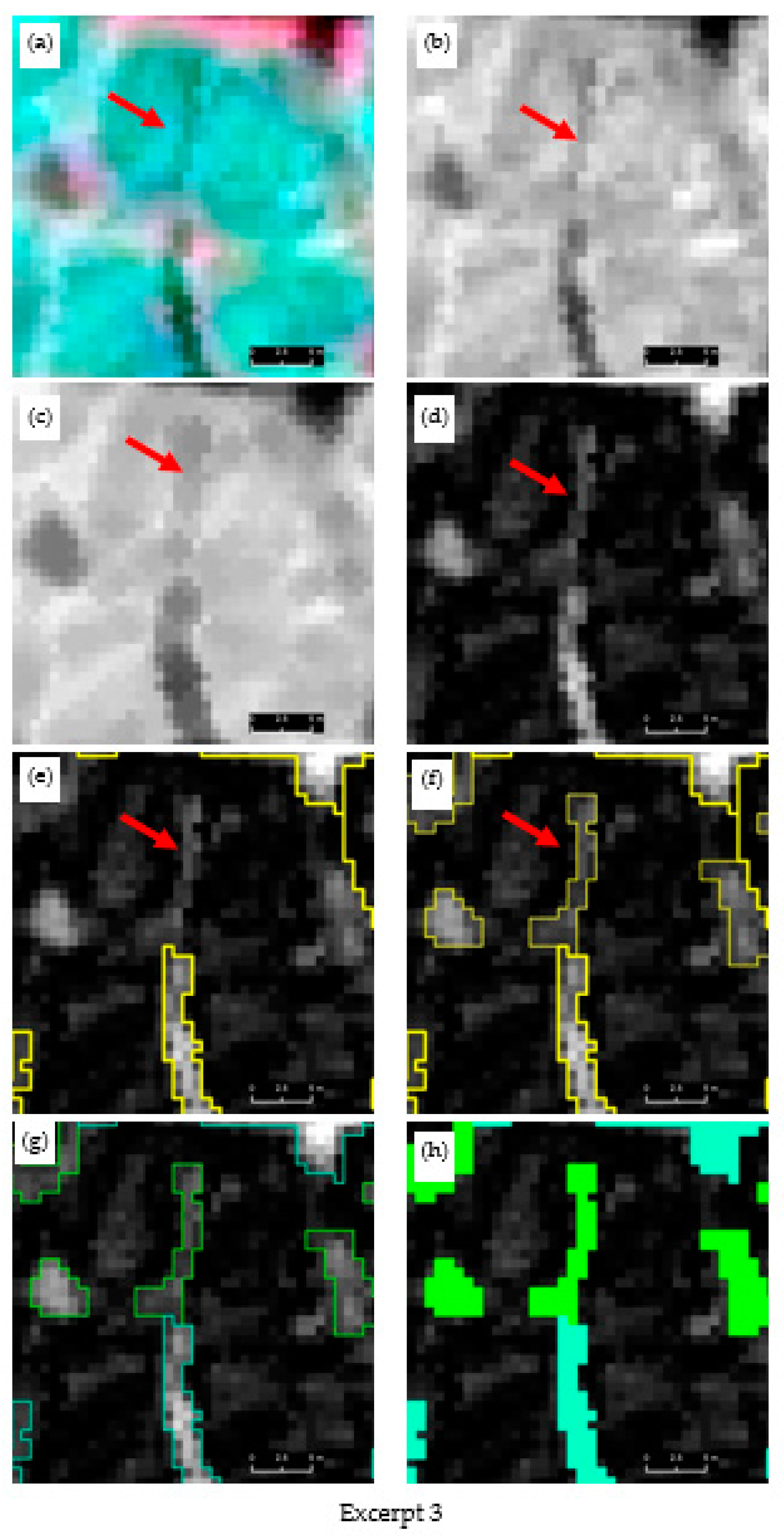Remotesensing 13 00558 g003c Remotesensing 13 00558 g003c