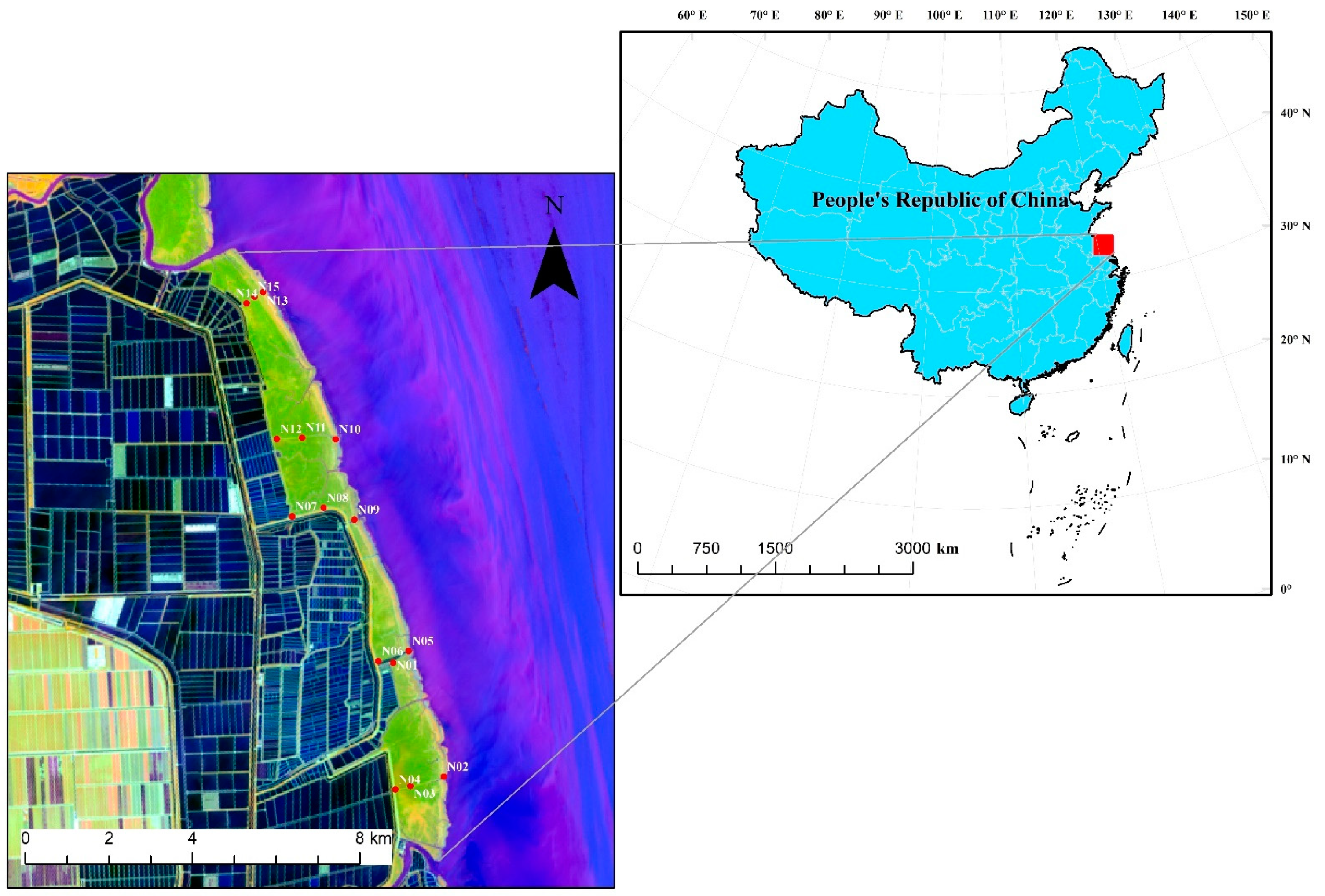 Remotesensing 13 00564 g001