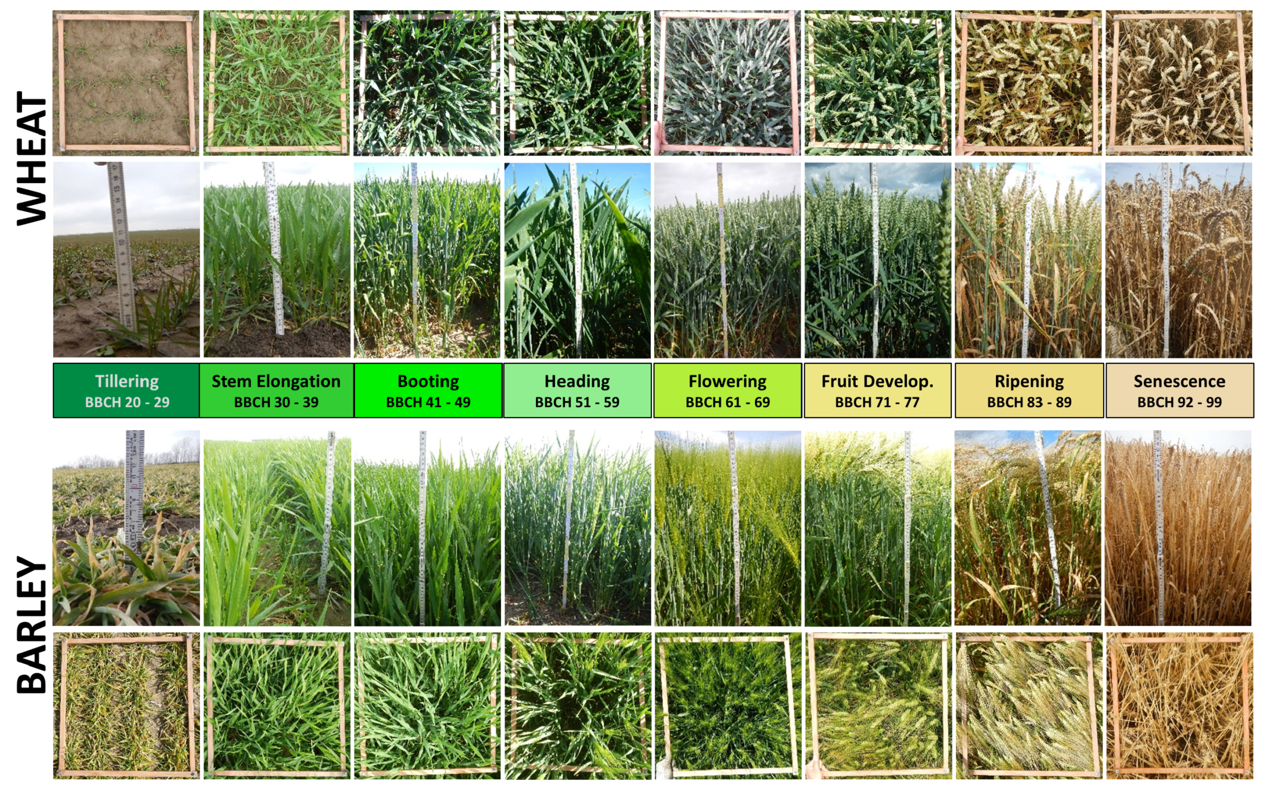 Remotesensing 13 00575 g003