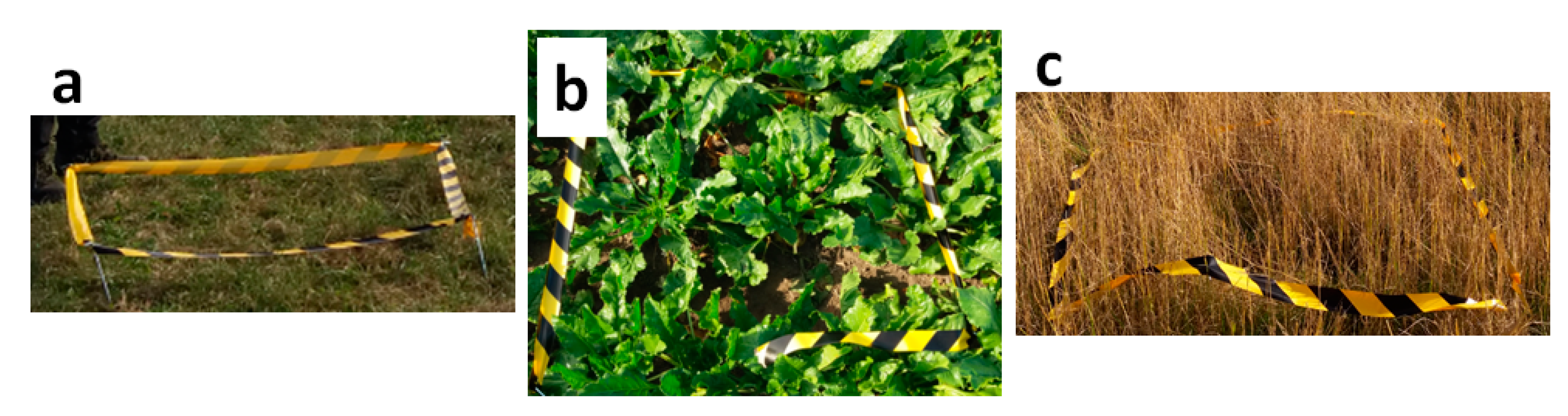 Remotesensing 13 00577 g006 Remotesensing 13 00577 g006