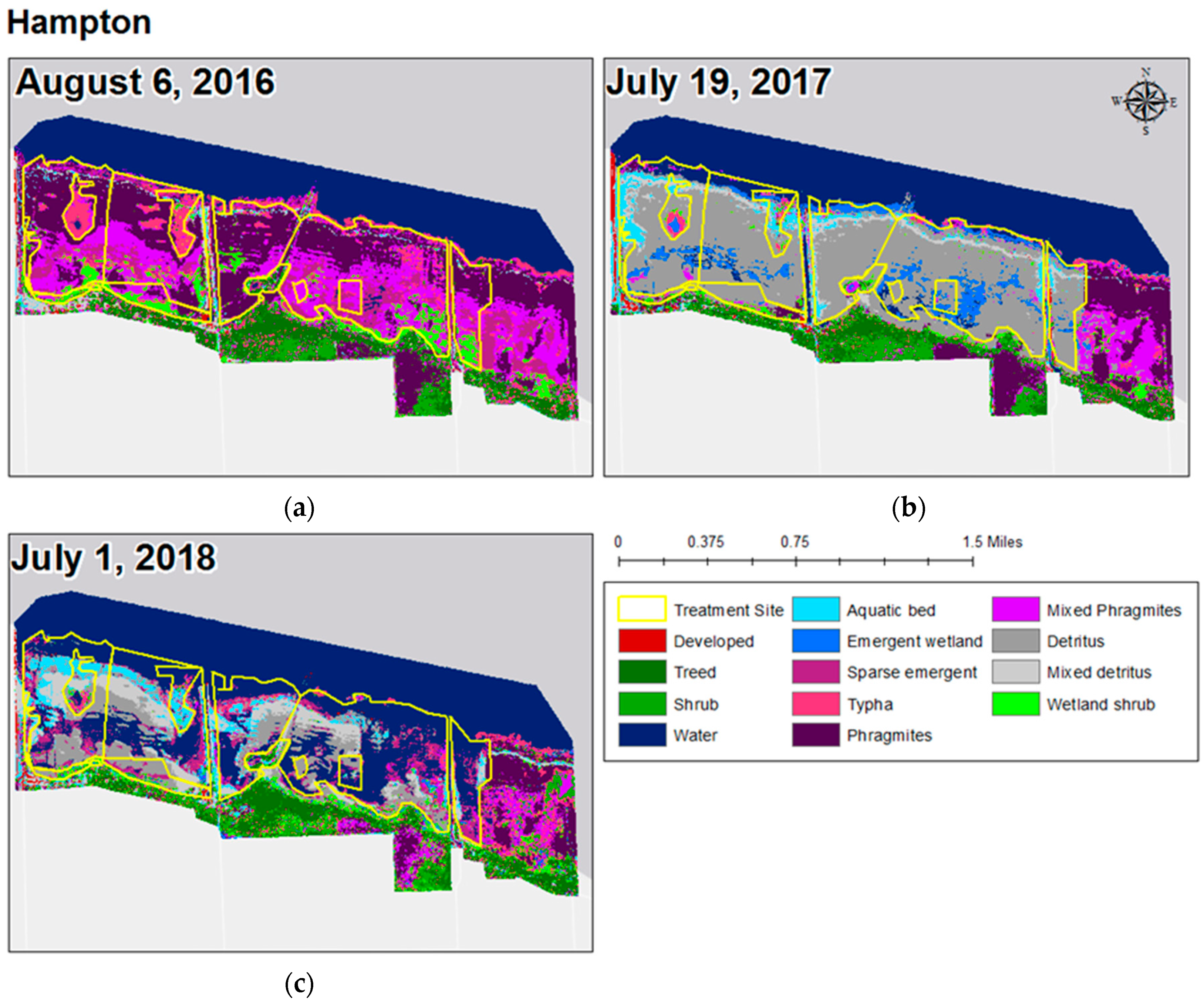 Remotesensing 13 00599 g006