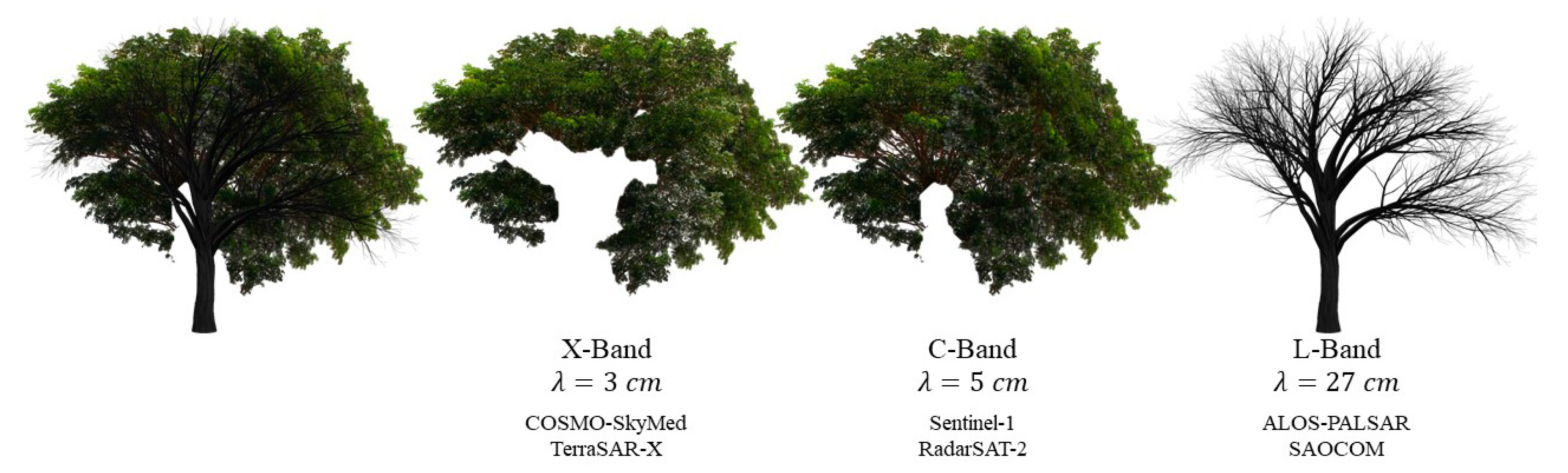 Remotesensing 13 00604 g007 Remotesensing 13 00604 g007