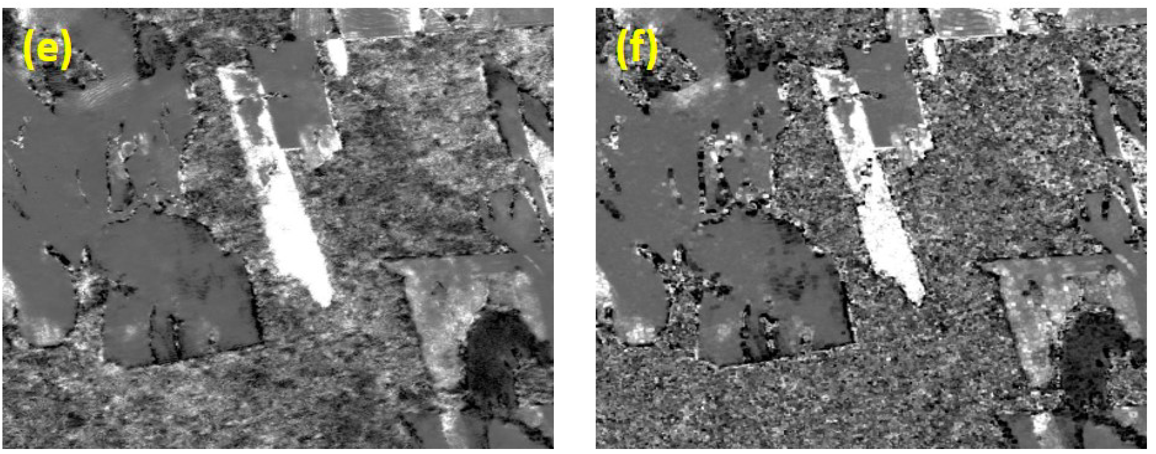 Remotesensing 13 00604 g010b Remotesensing 13 00604 g010b