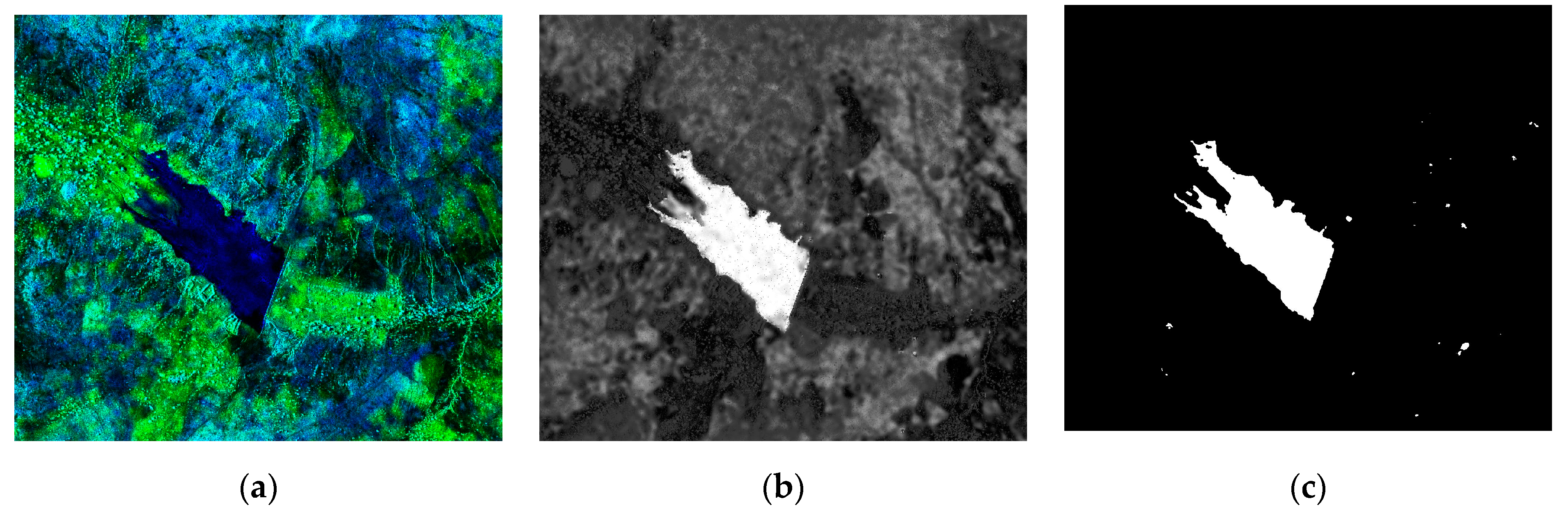 Remotesensing 13 00604 g013 Remotesensing 13 00604 g013