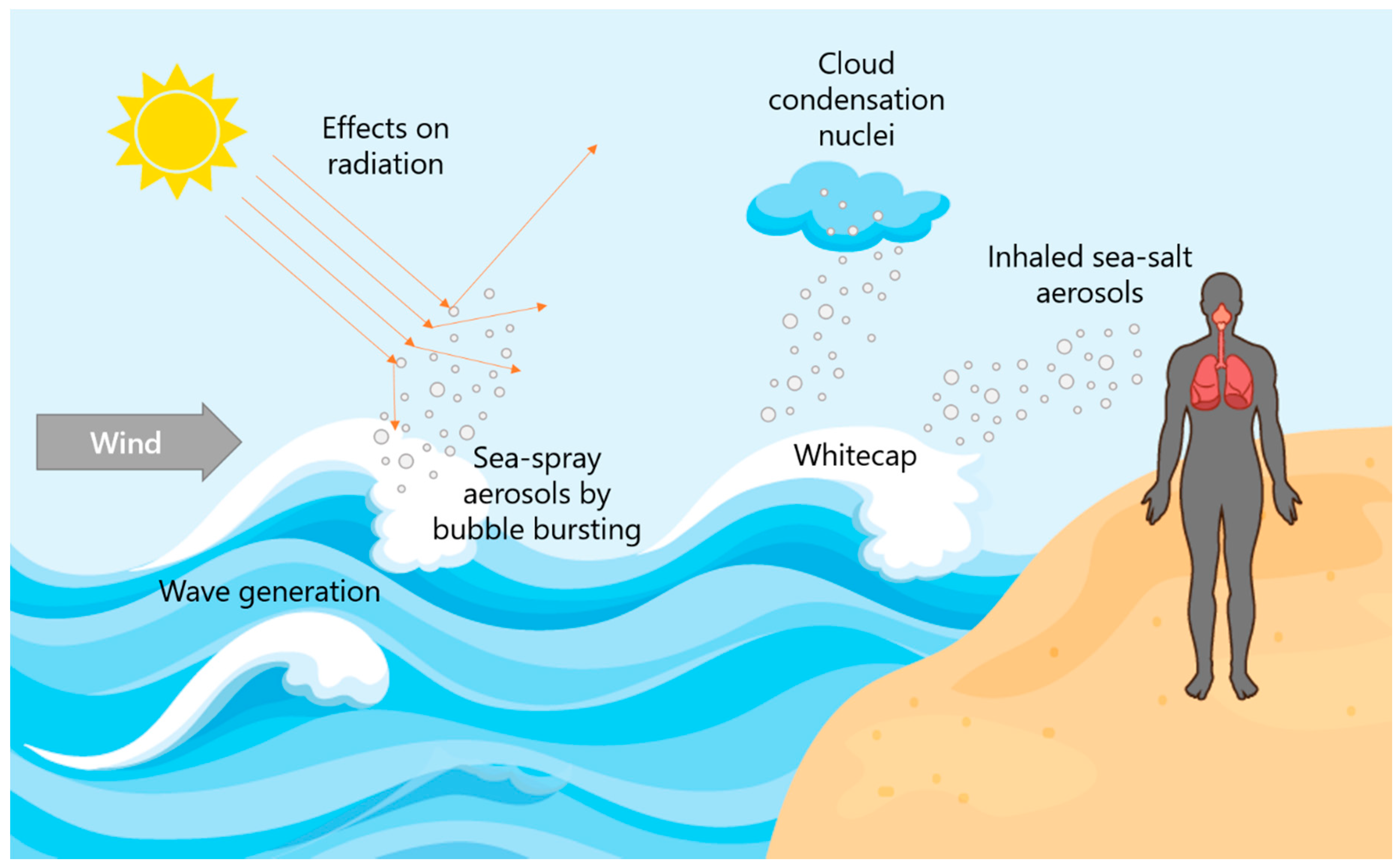 Condensation Nuclei Salt