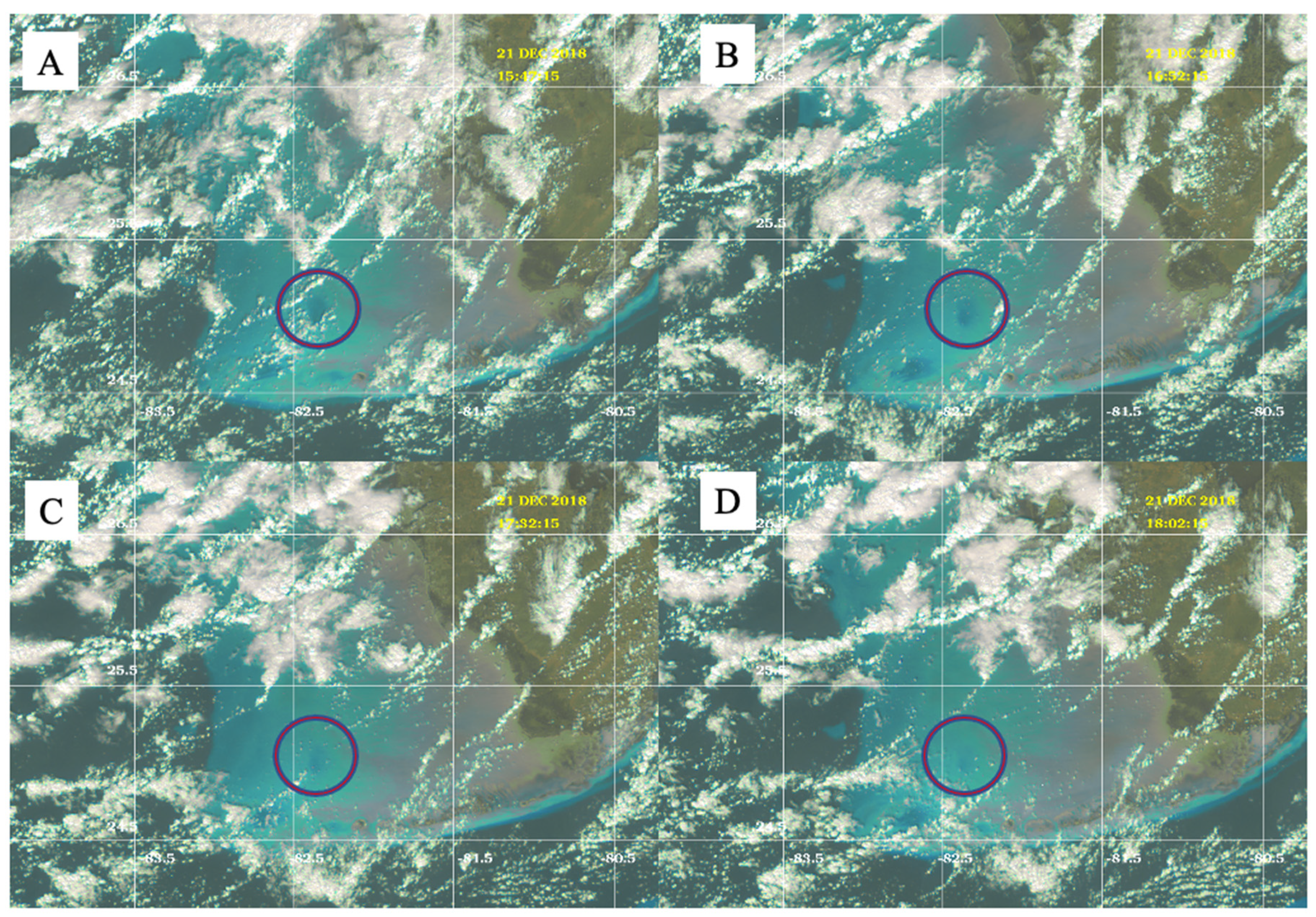 Remotesensing 13 00619 g011 Remotesensing 13 00619 g011