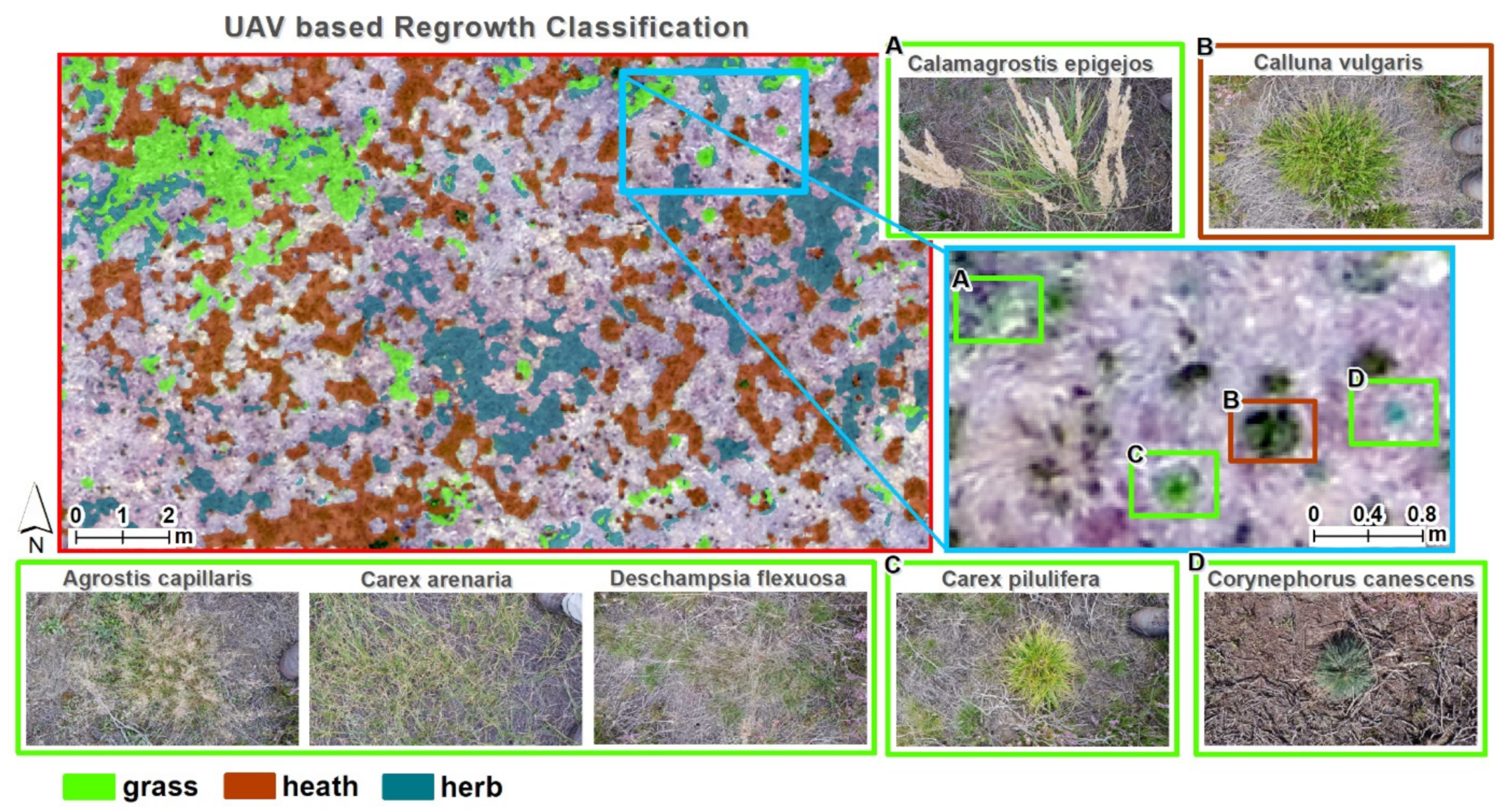 Remotesensing 13 00625 g003 Remotesensing 13 00625 g003