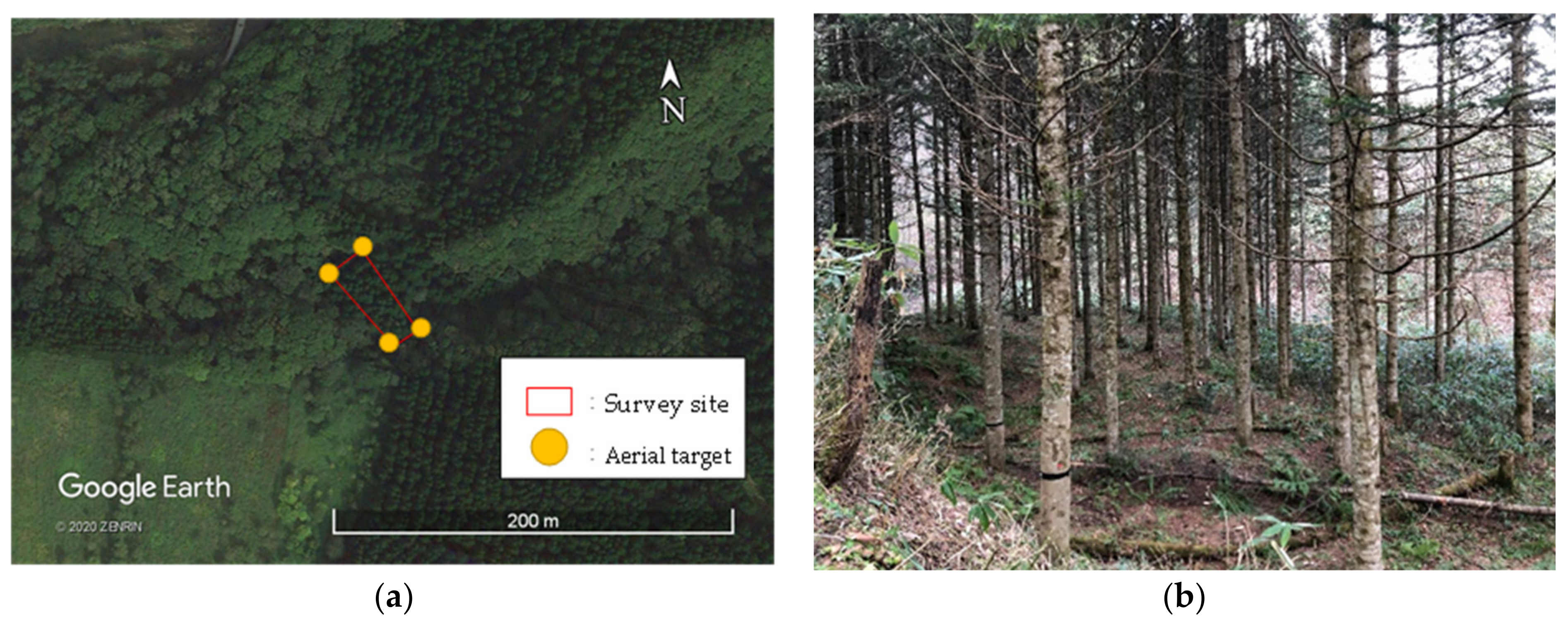 Remotesensing 13 00626 g001 Remotesensing 13 00626 g001