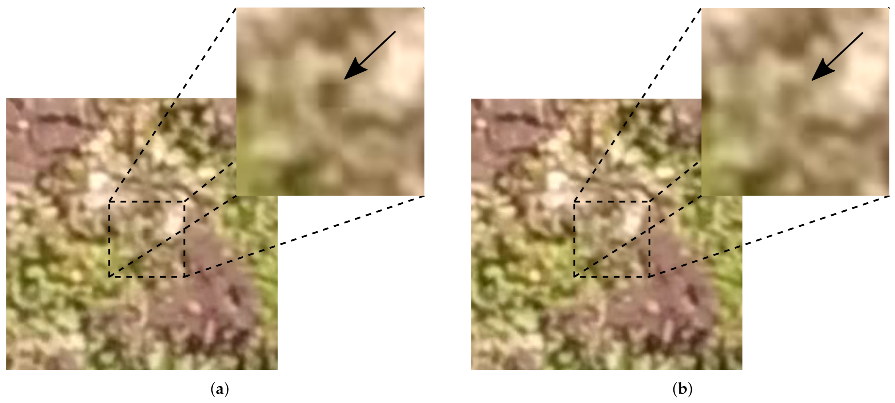 Remotesensing 13 00653 g001 Remotesensing 13 00653 g001