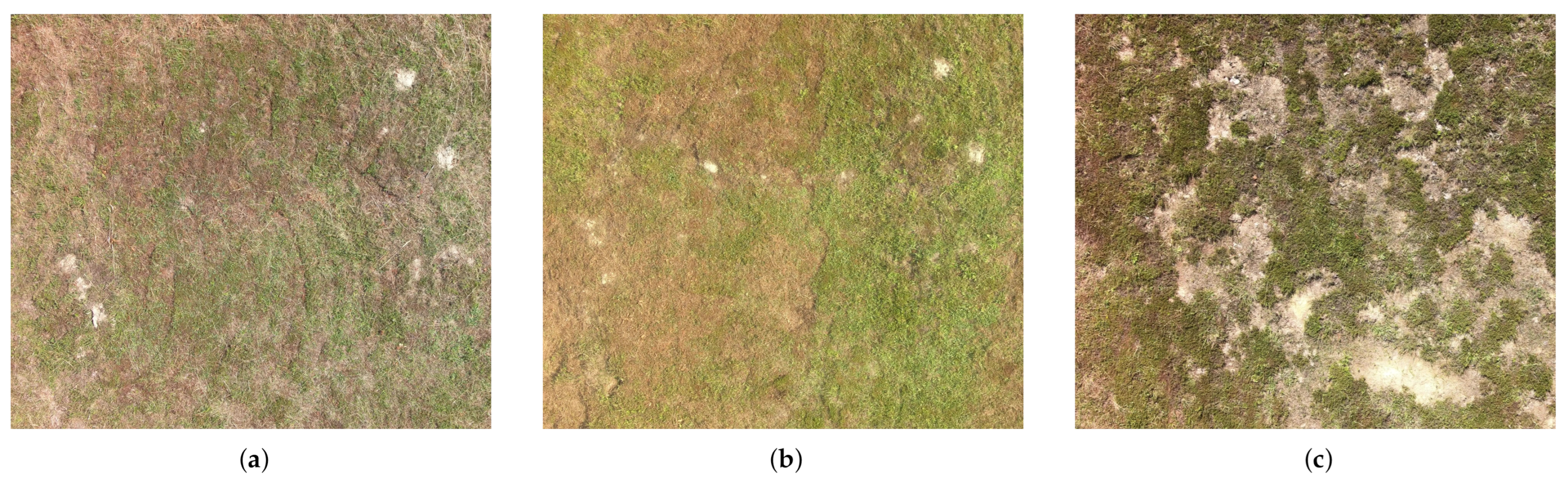 Remotesensing 13 00653 g003 Remotesensing 13 00653 g003