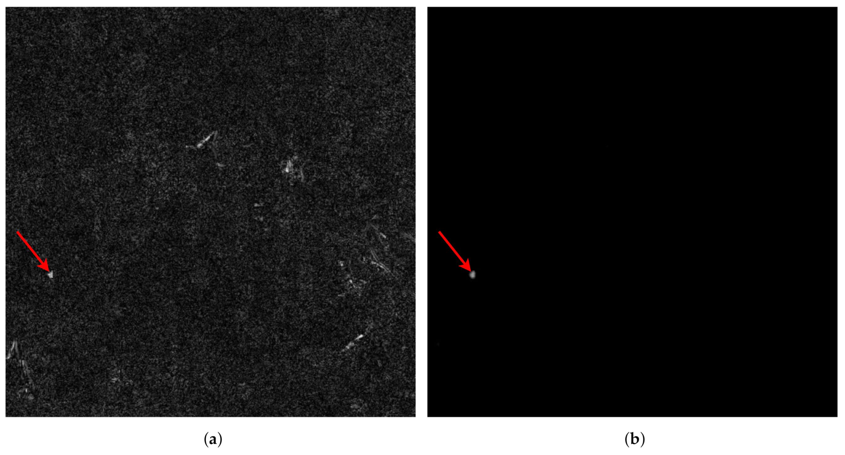 Remotesensing 13 00653 g005 Remotesensing 13 00653 g005