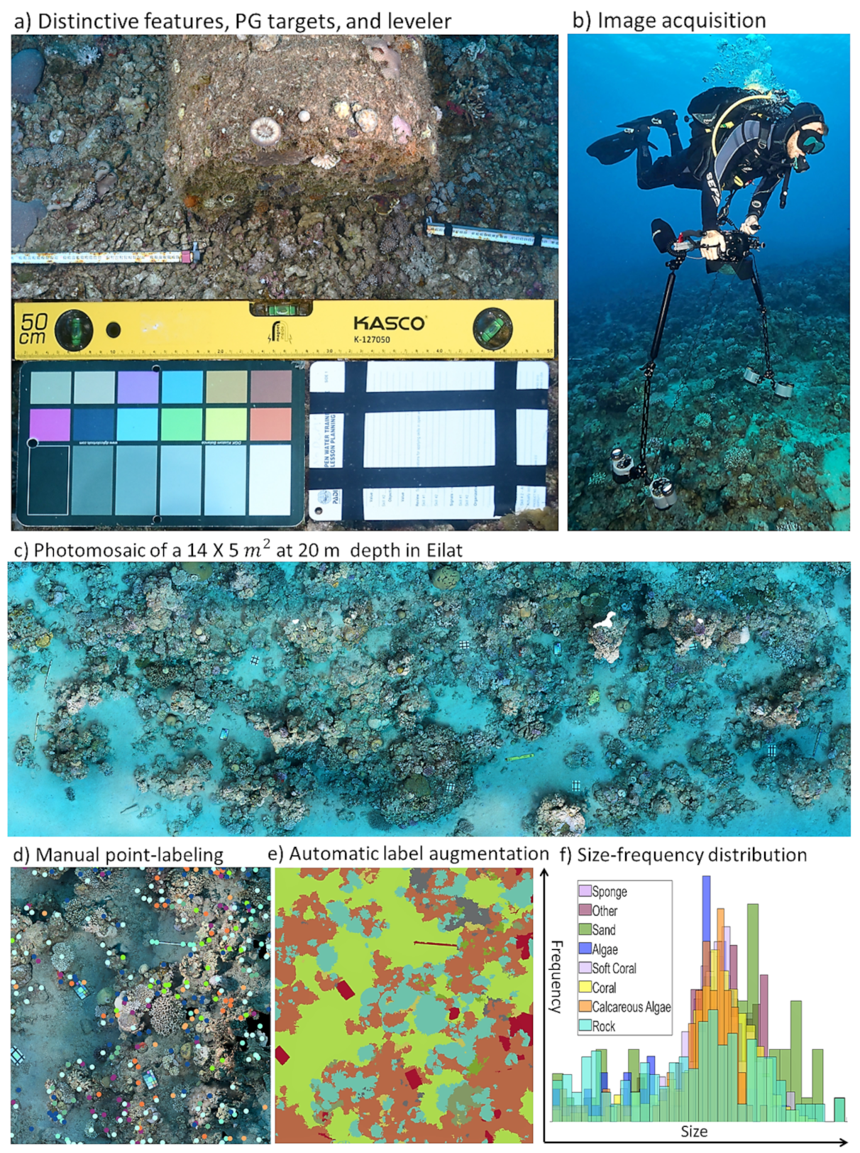 Remotesensing 13 00659 g003 Remotesensing 13 00659 g003
