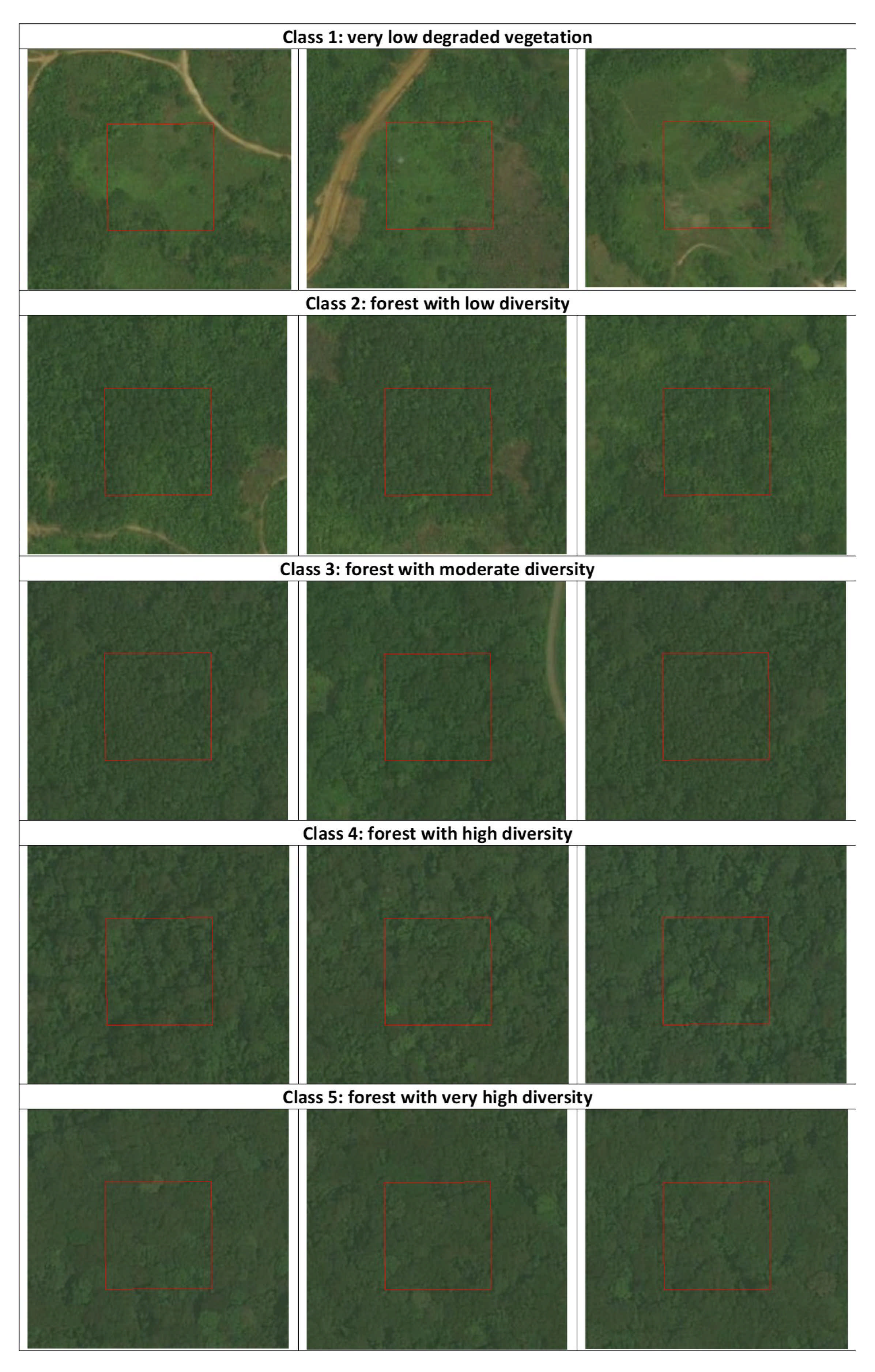 Remotesensing 13 00696 g002