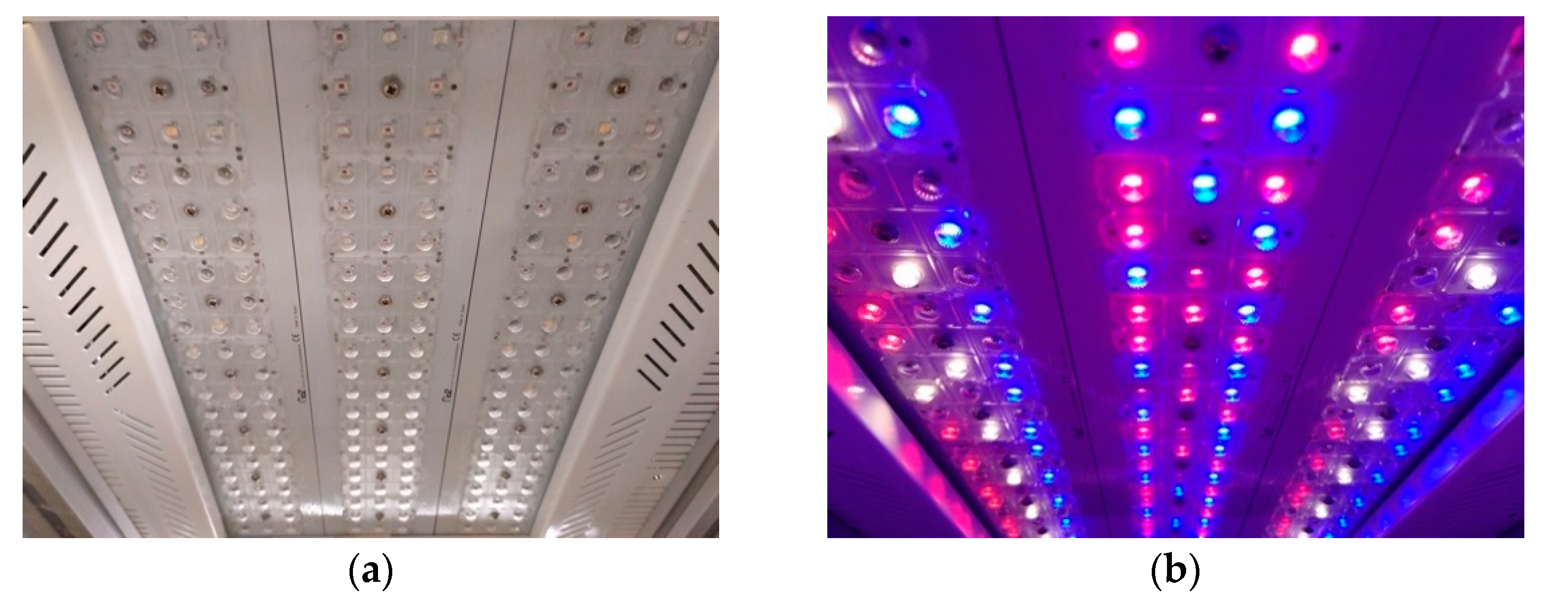 Remotesensing 13 00729 g003