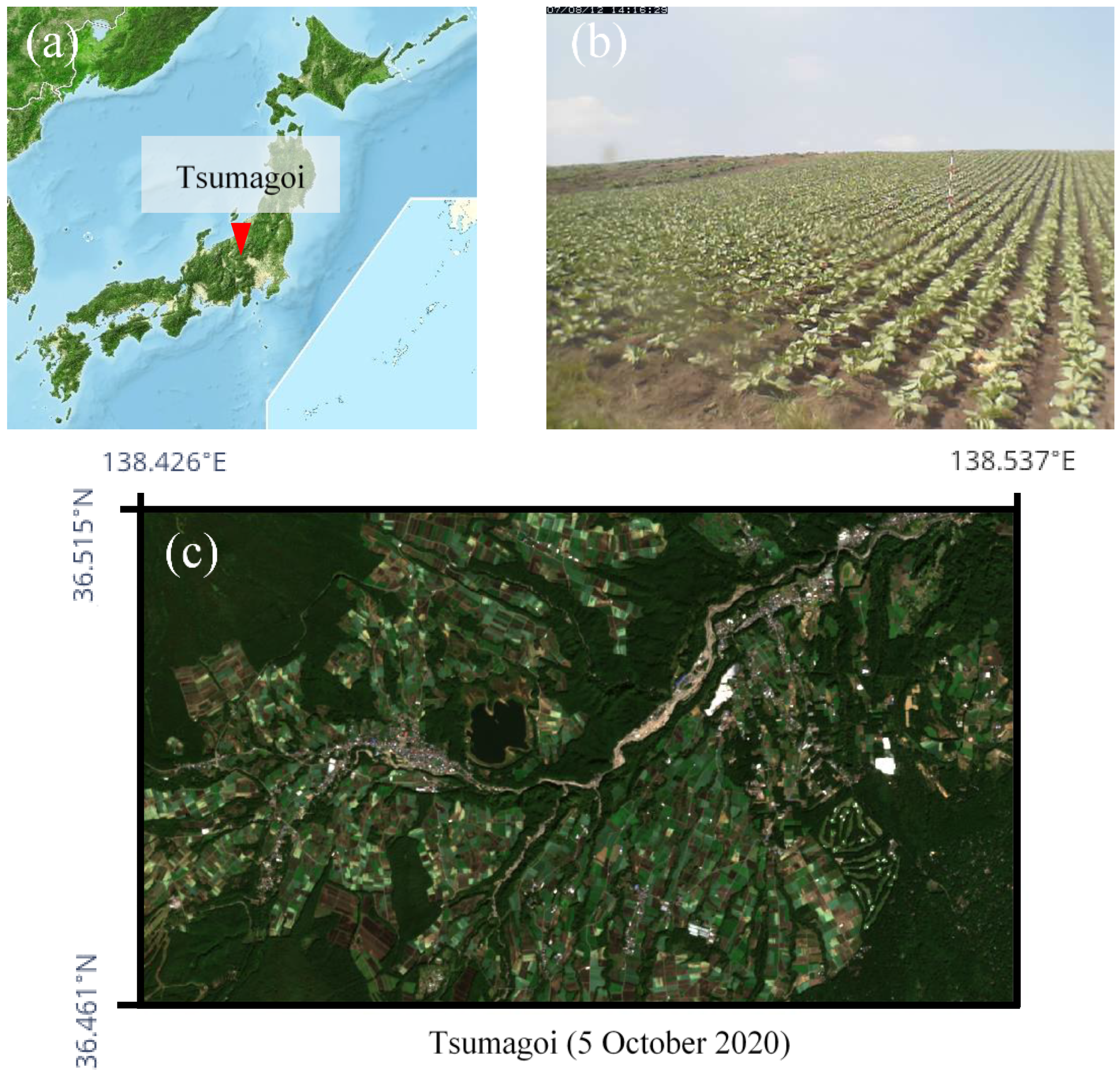 Remotesensing 13 00732 g001 Remotesensing 13 00732 g001