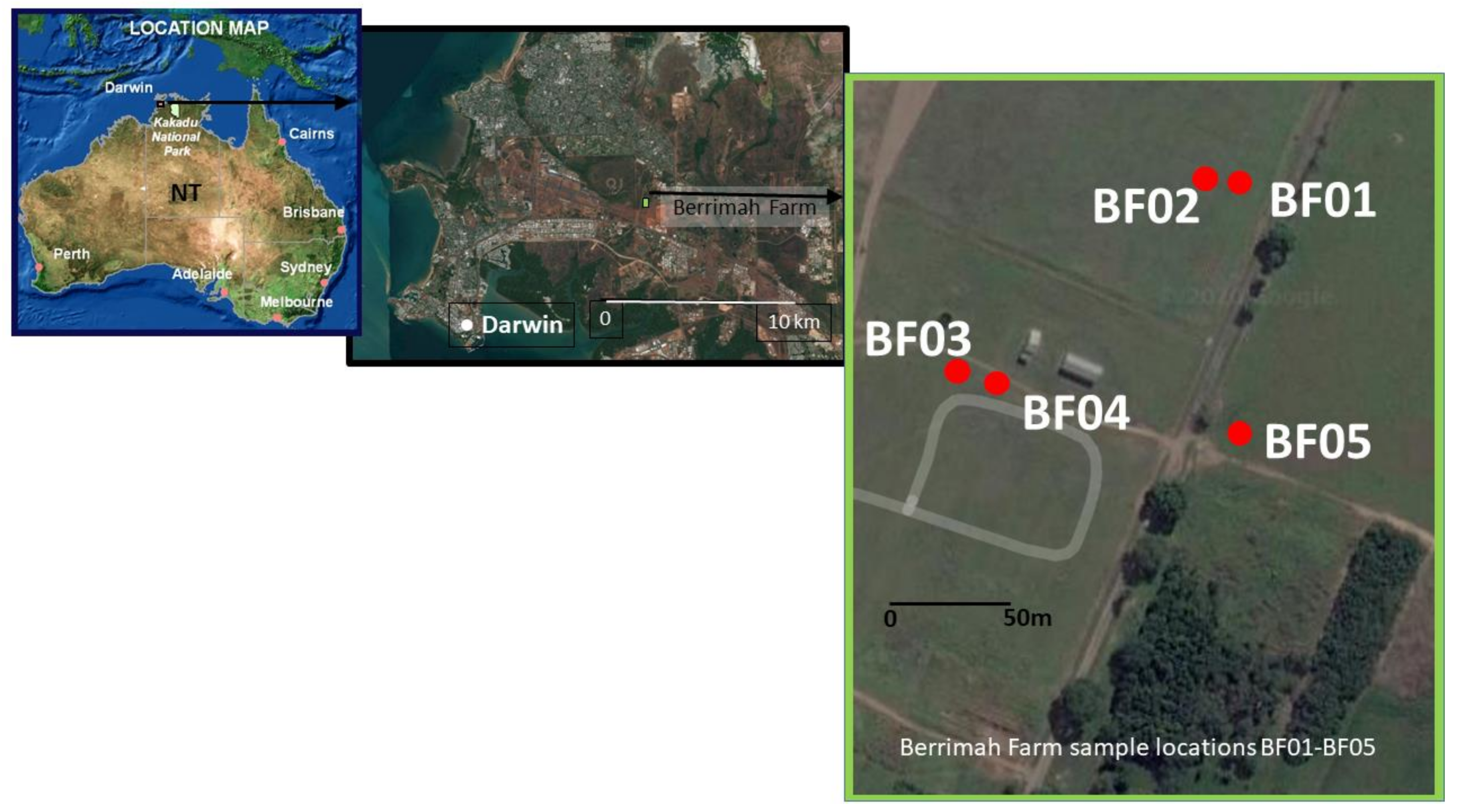 Remotesensing 13 00738 g001