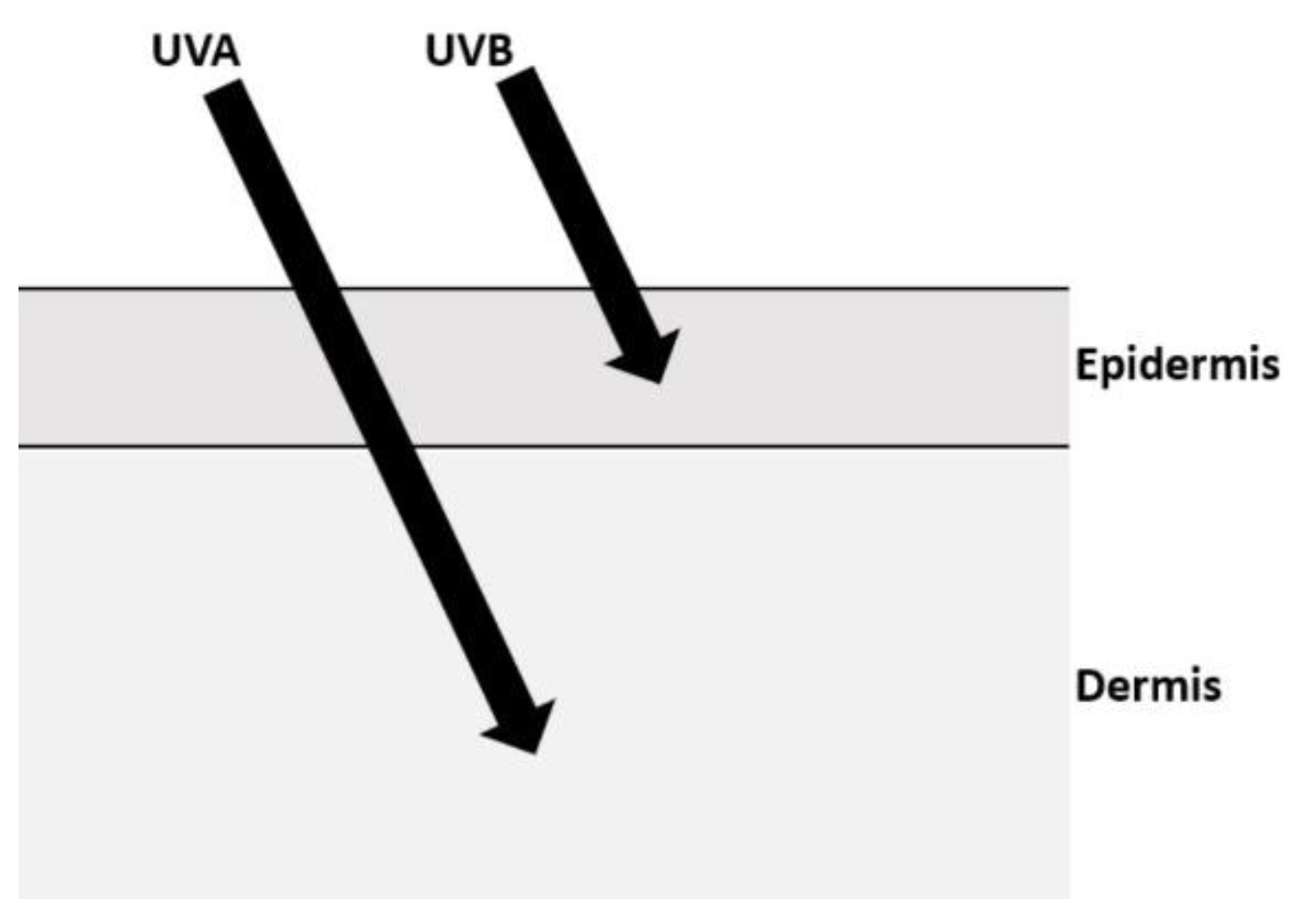 Remotesensing 13 00752 g001