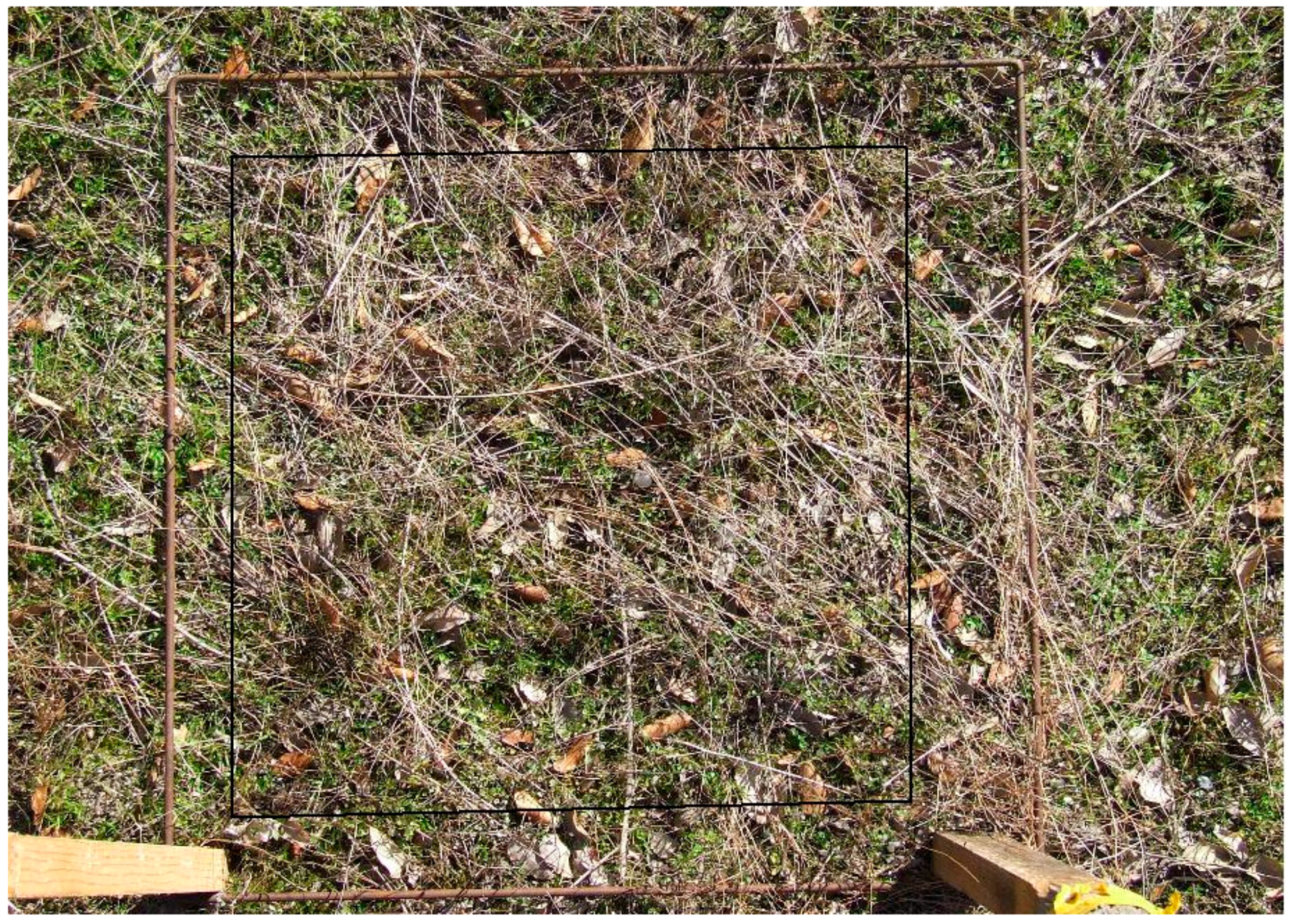 Remotesensing 13 00776 g001 Remotesensing 13 00776 g001