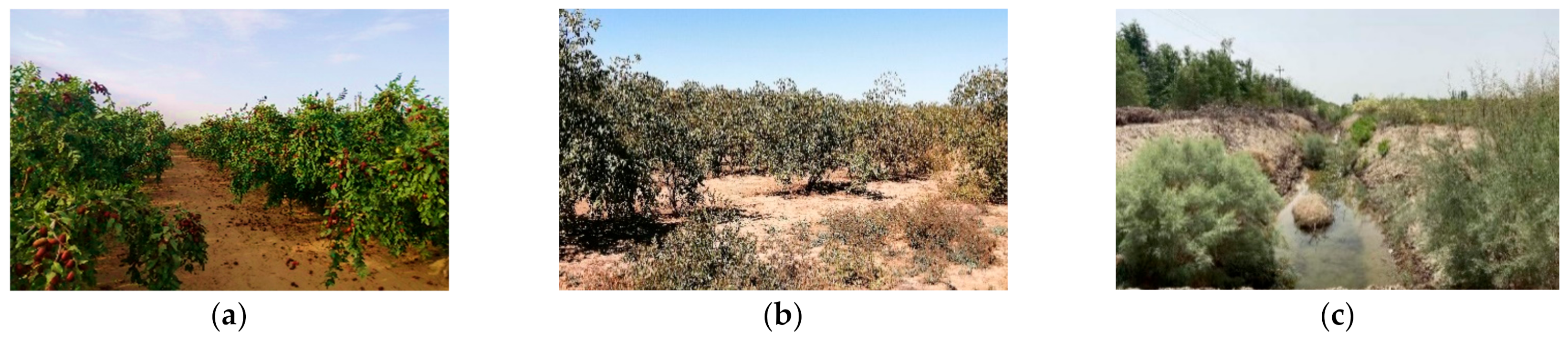 Remotesensing 13 00801 g002 Remotesensing 13 00801 g002