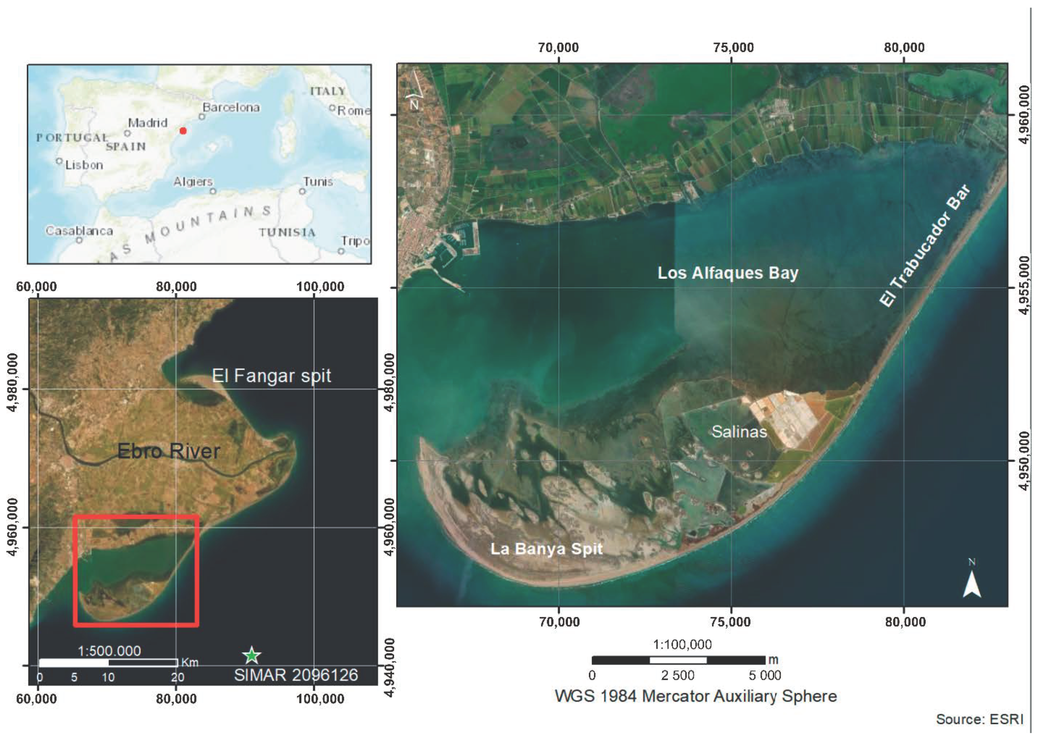 Remotesensing 13 00802 g001 Remotesensing 13 00802 g001