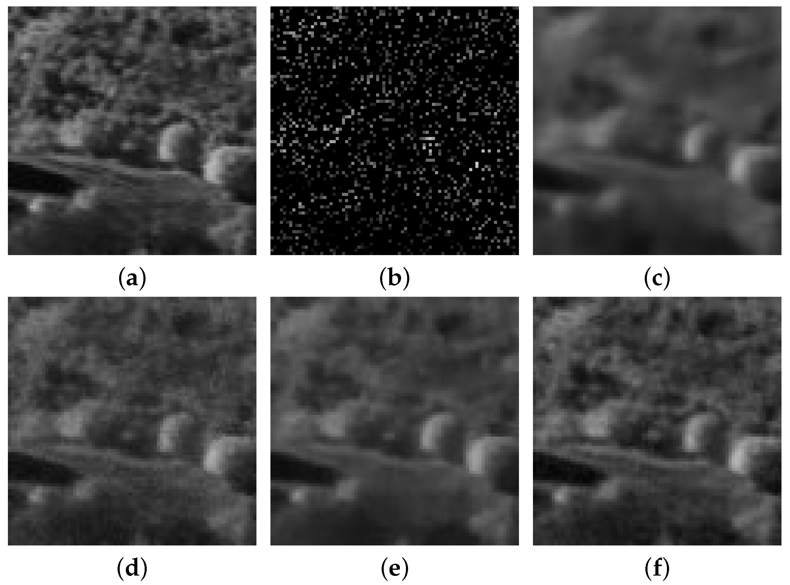 Remotesensing 13 00819 g003